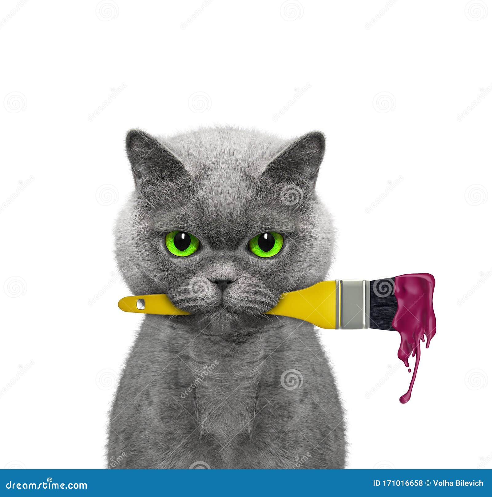 Cat As a Painter with Brush and Red Color. Isolated on White Stock