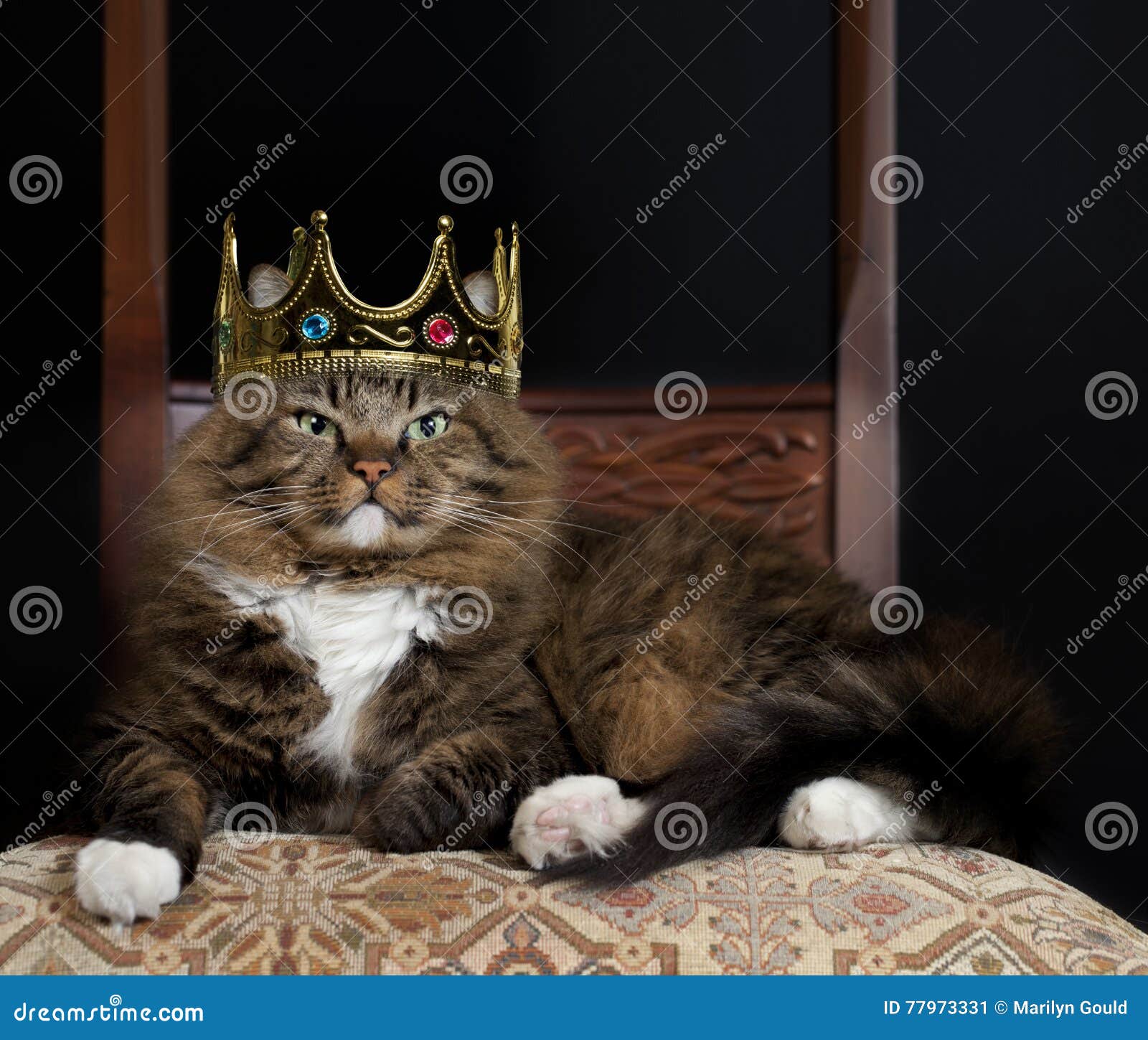 cat as royalty