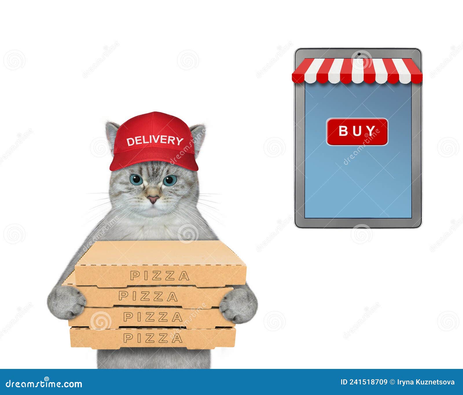 Cat Ashen Courier Delivers Boxes with Pizza 2 Stock Image Image of