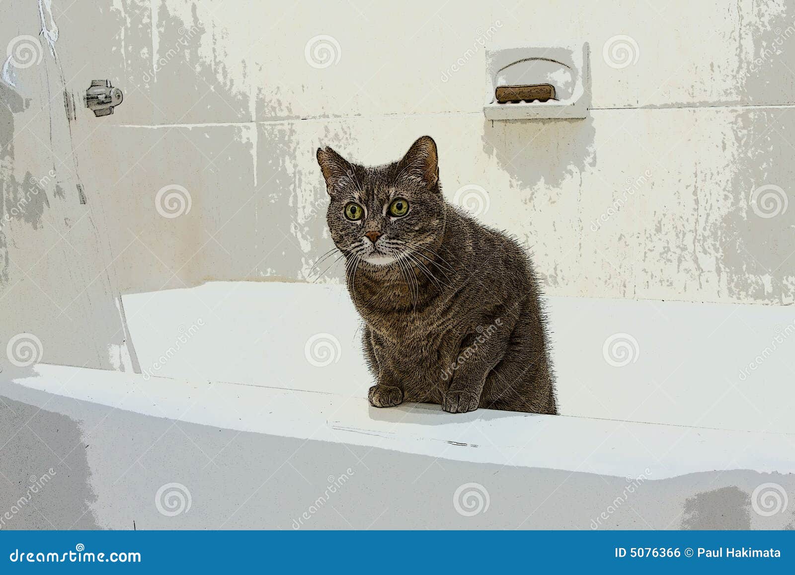 Cat in bathtub stock photo. Image of pussycat, pets, feline 5076366