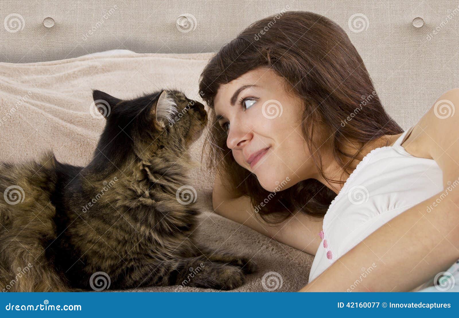 Cat on a Bed stock image. Image of fluffy, friendship - 42160077