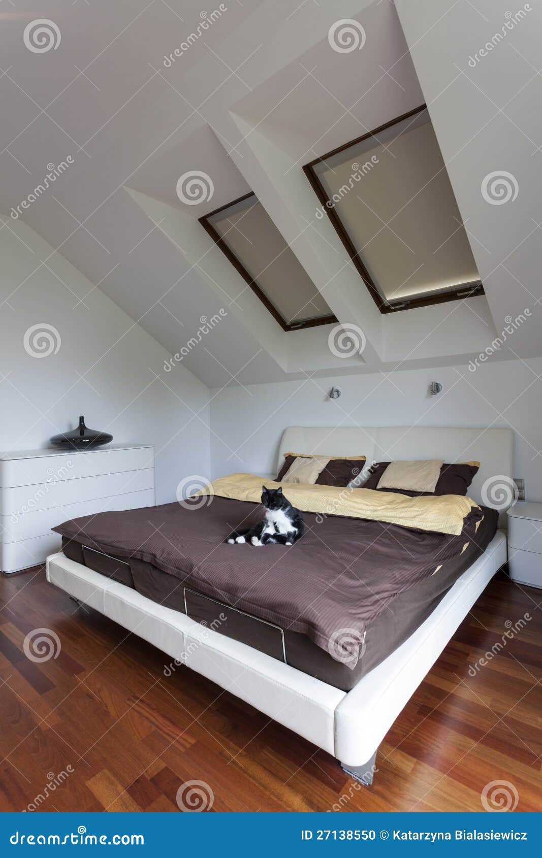 cat in bedroom