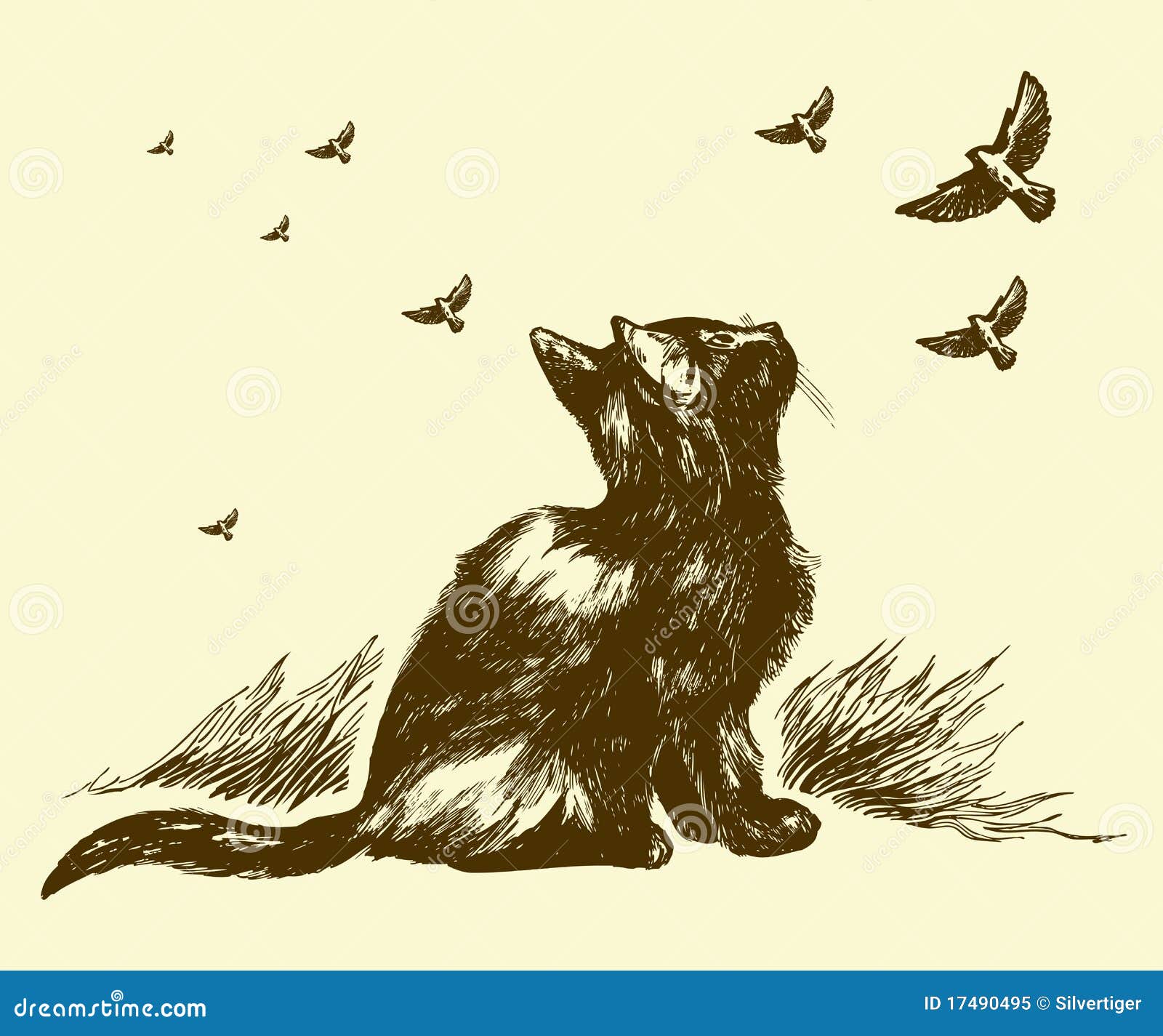 Cat and birds drawing stock vector. Image of lined, beauty - 17490495