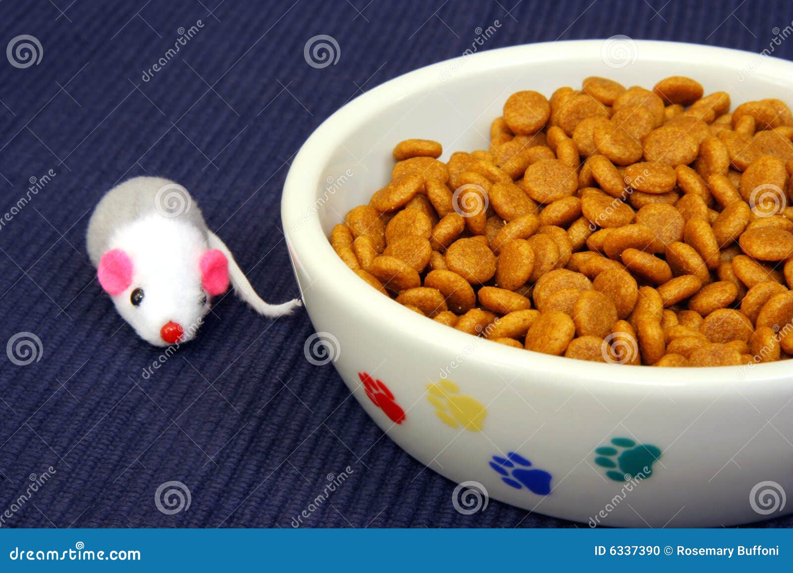 Cat Bowl with Food and Toy stock photo. Image of closeup 6337390