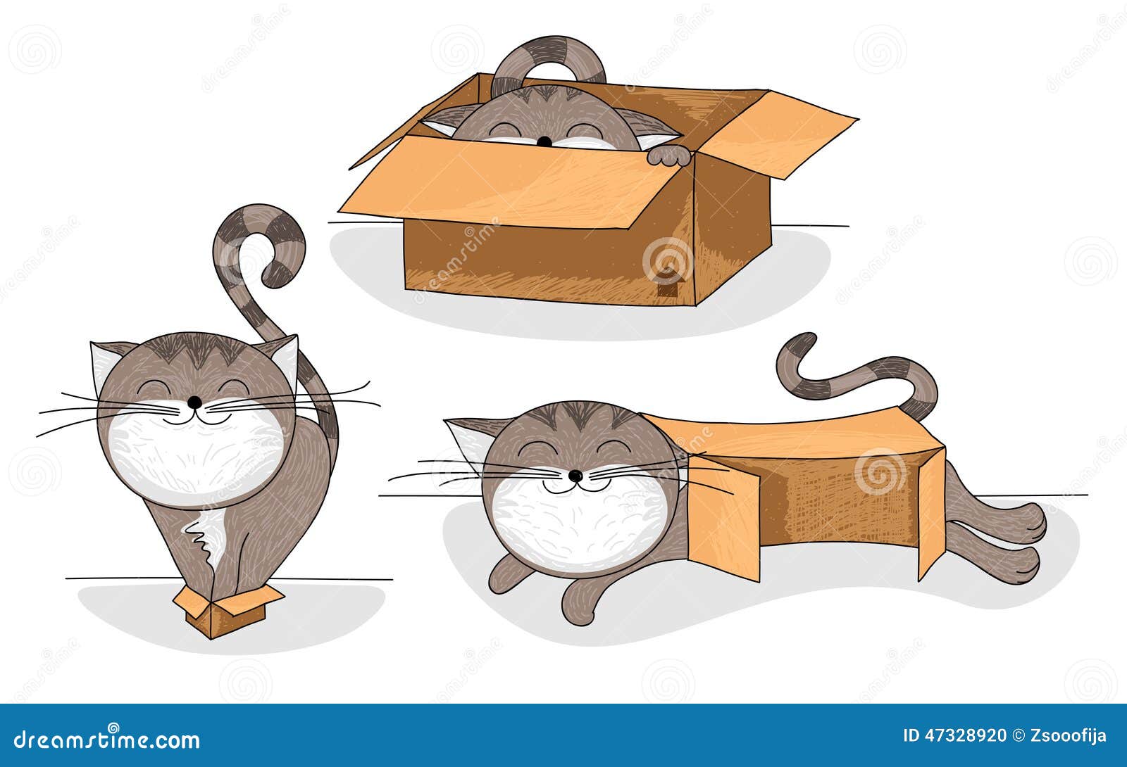 Cat in box cartoon set. Cute and funny cartoon cat in different sized cardboard boxes