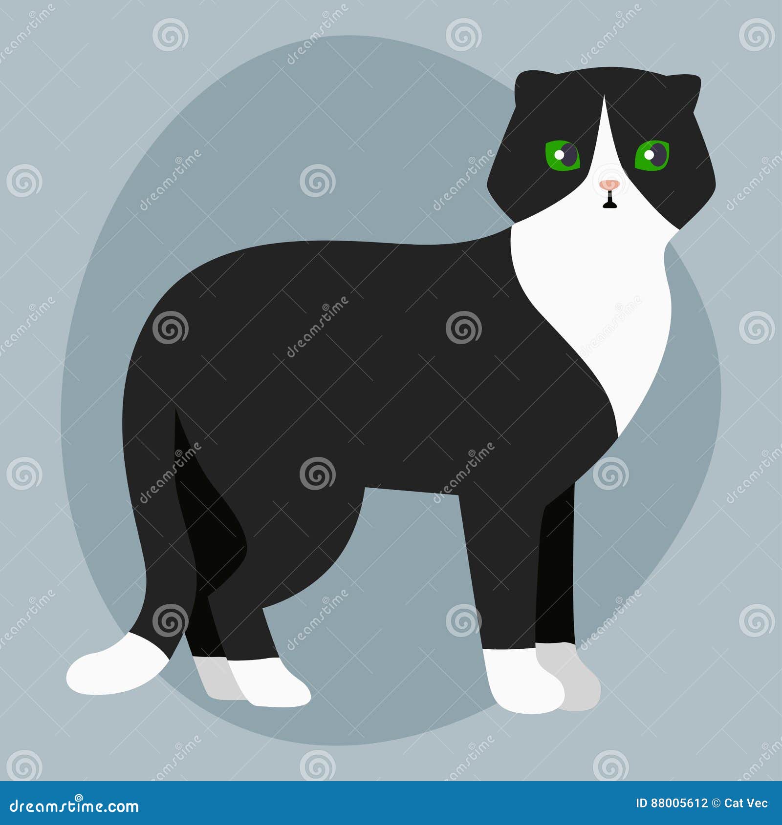 Black and White Shorthair Cat Animated Pet 