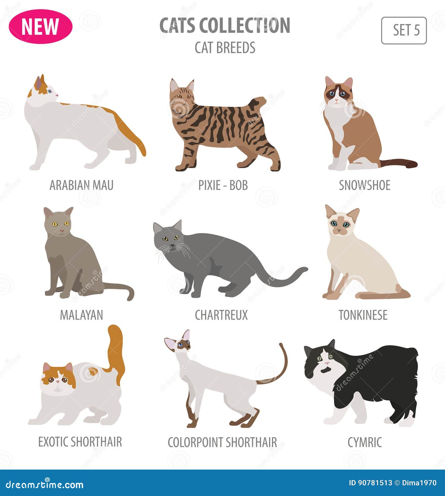 Cat icon set in flat style. vector illustration