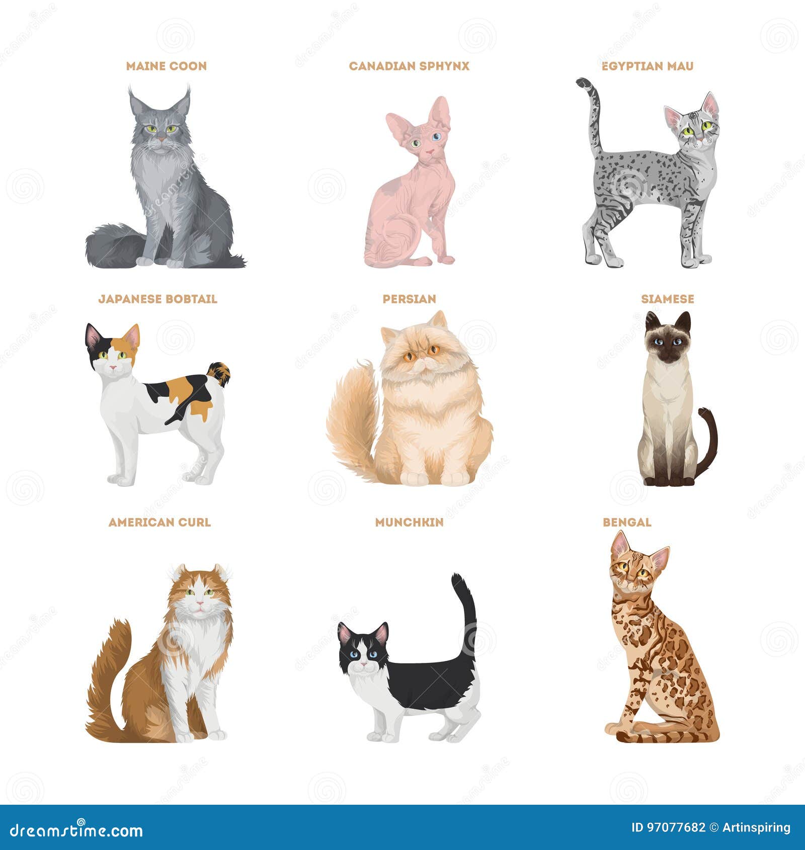 Bobtail Cat Stock Illustrations 445 Bobtail Cat Stock Illustrations Vectors Clipart Dreamstime