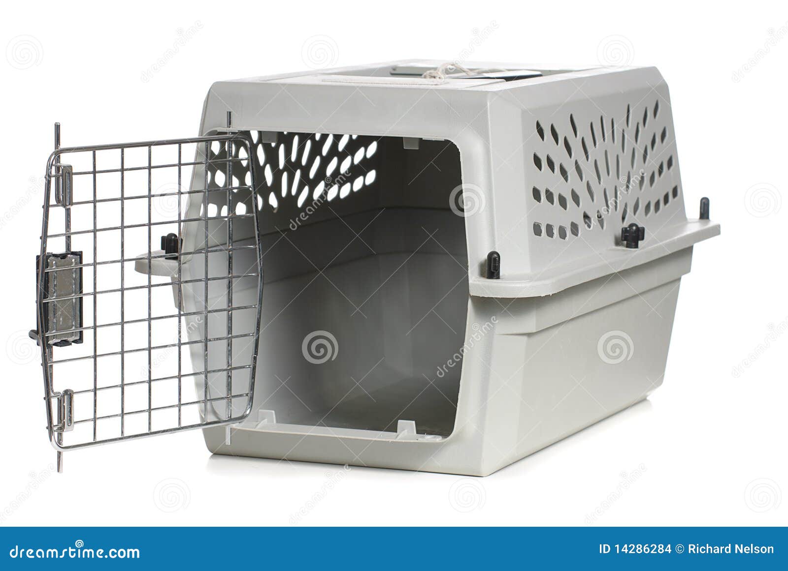 white cat carrier