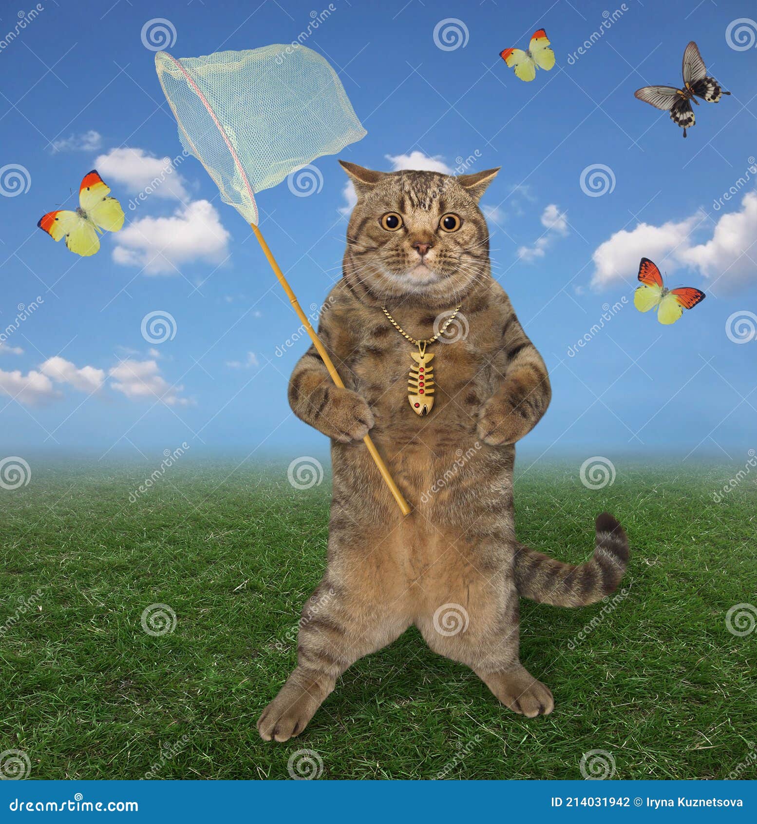 Cat Catches Butterflies in Meadow Stock Photo - Image of fantasy