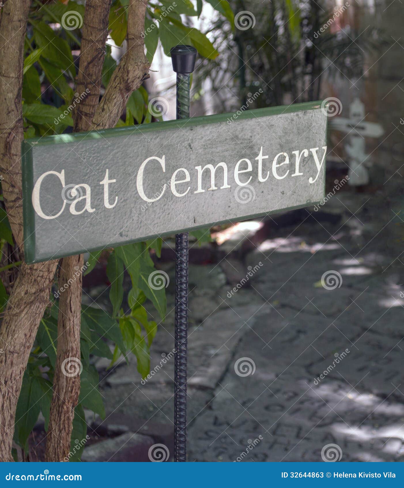 Cat cemetery stock image. Image of grey, tomb, peace 32644863