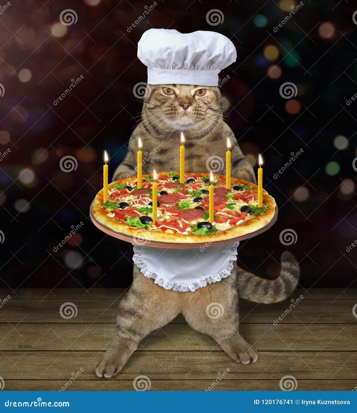 Cat Chef with Holiday Pizza 2 Stock Image Image of italian, cake