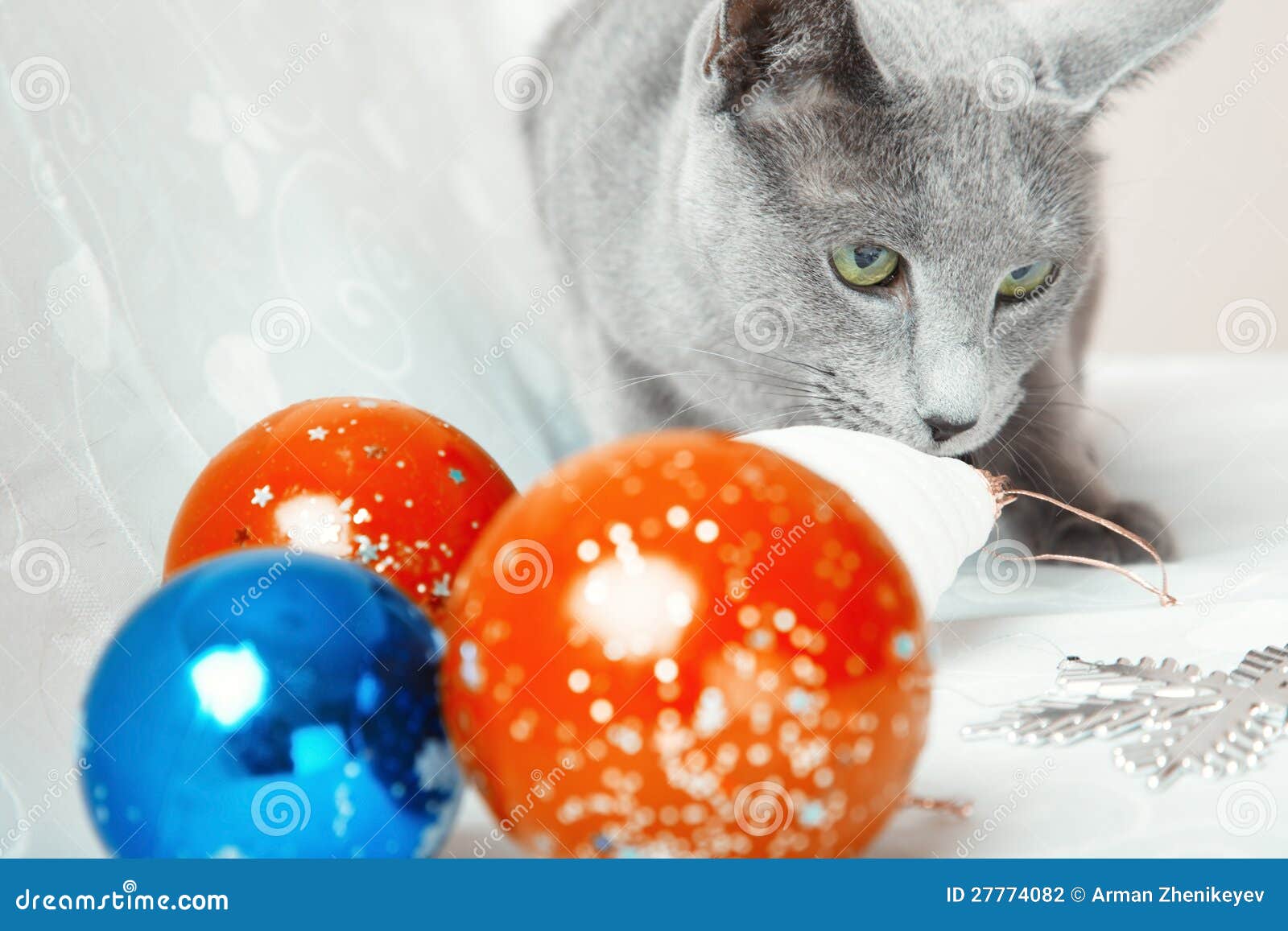 Cat and Christmas balls stock photo. Image of colorful 27774082