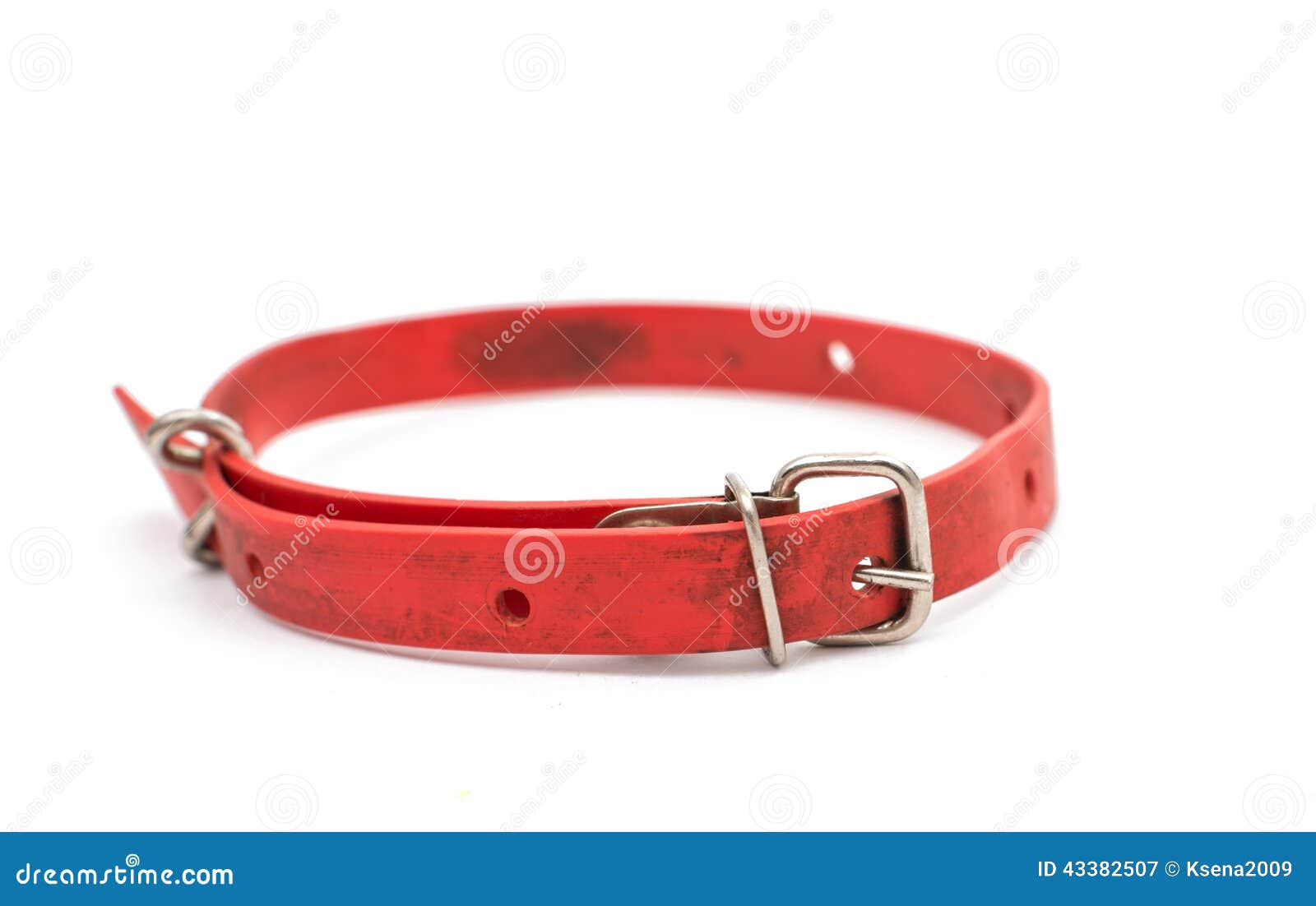 154 Cat Flea Collar Stock Photos Free & RoyaltyFree Stock Photos