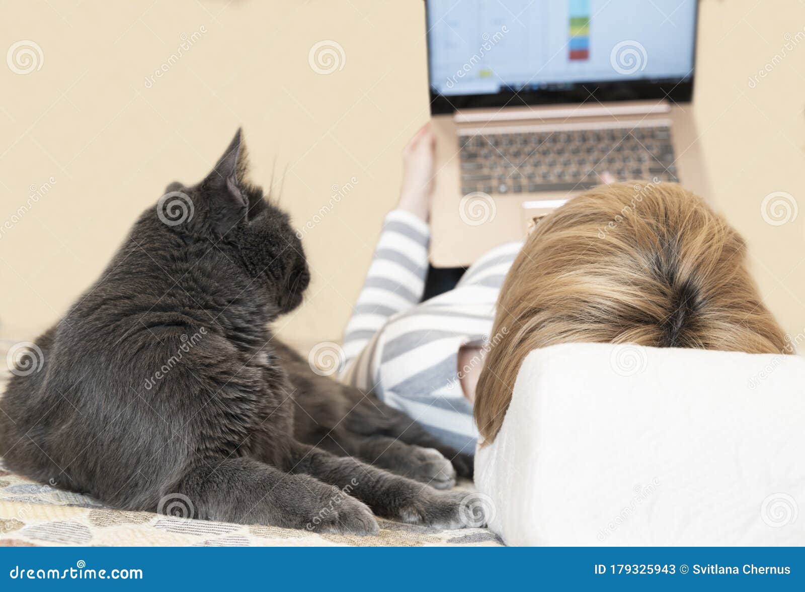 Cat Controlling Work of His Mistress, Both are Lying on Sofa at Home