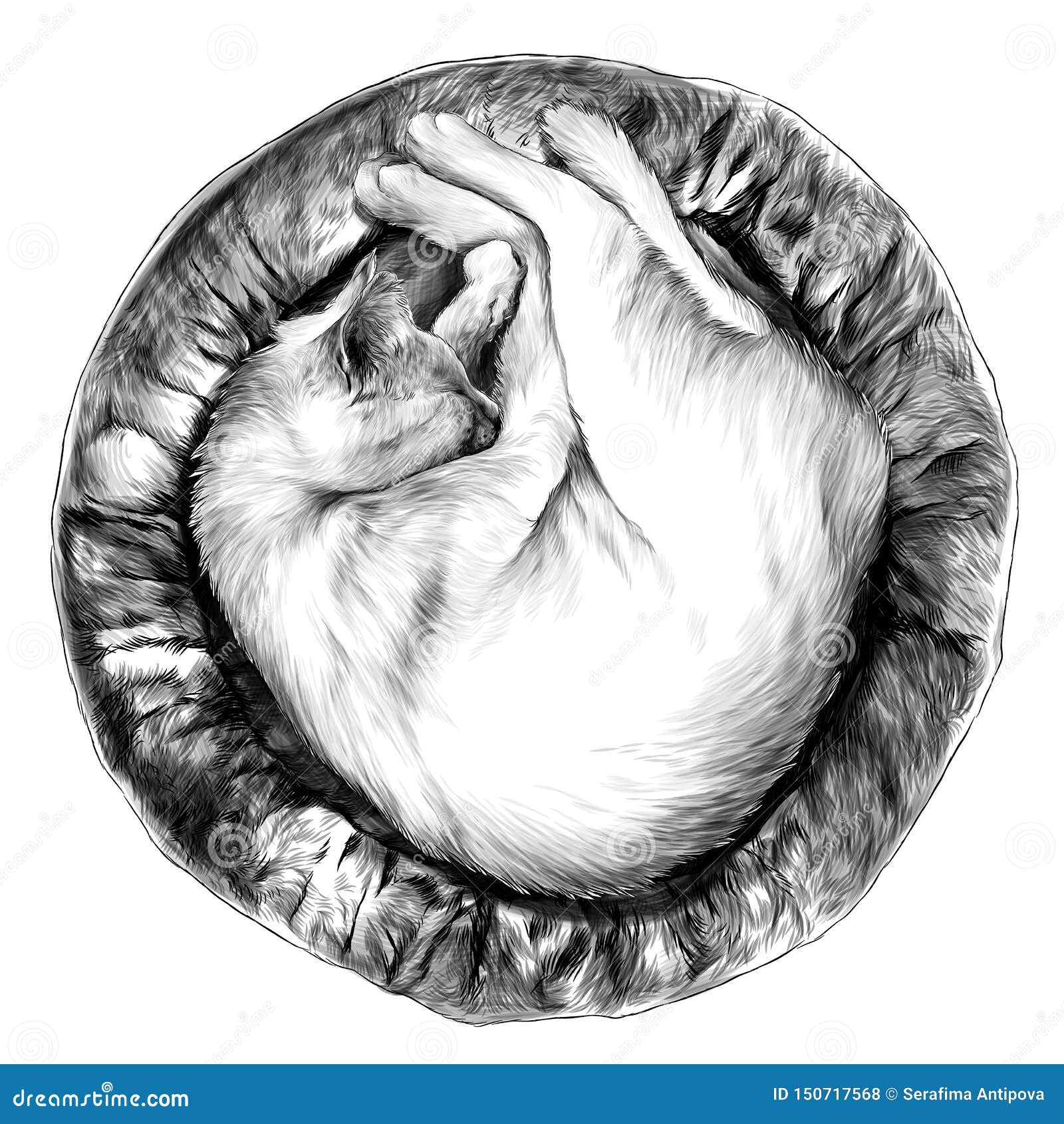 My Image 33
