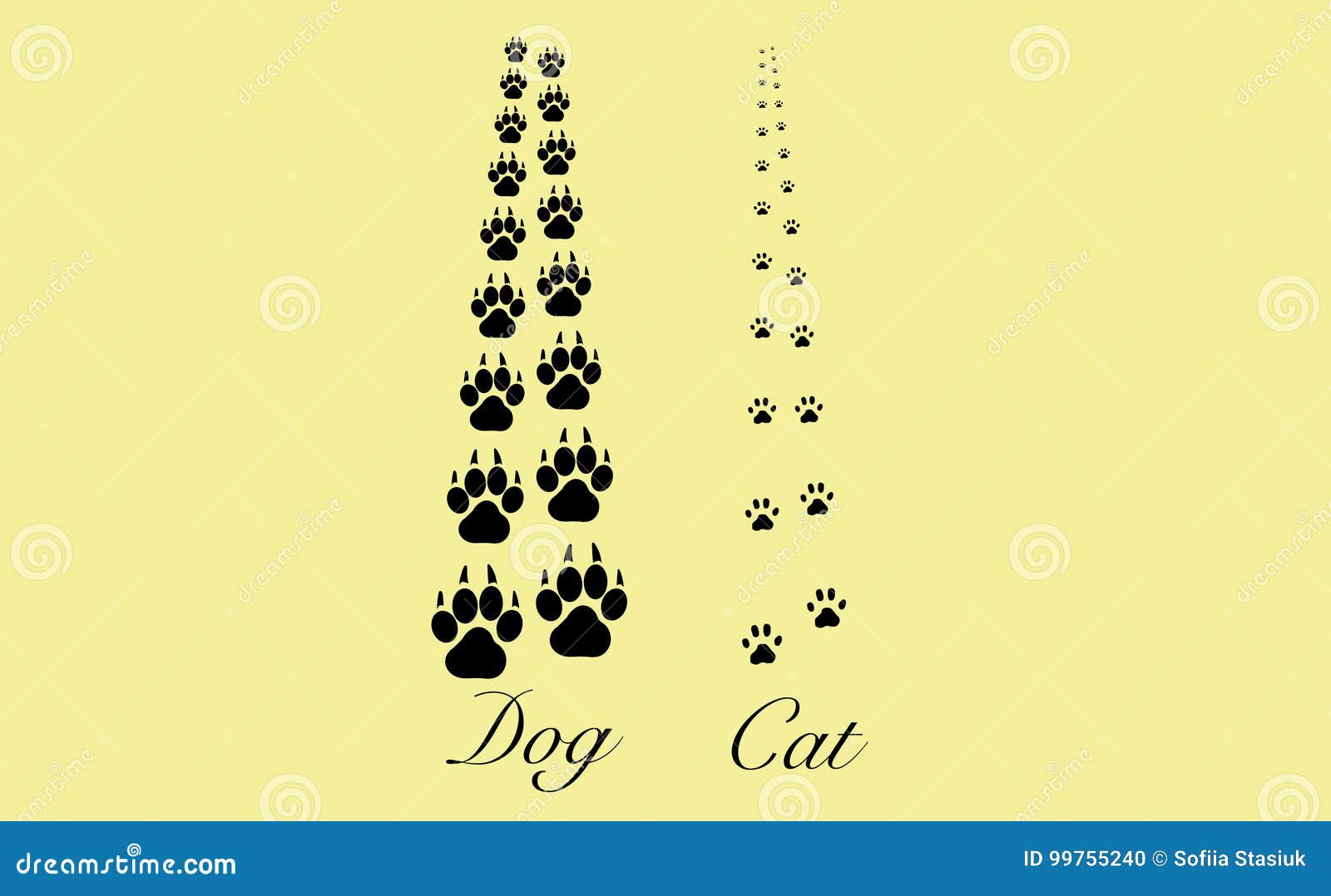 cat and dog paws background