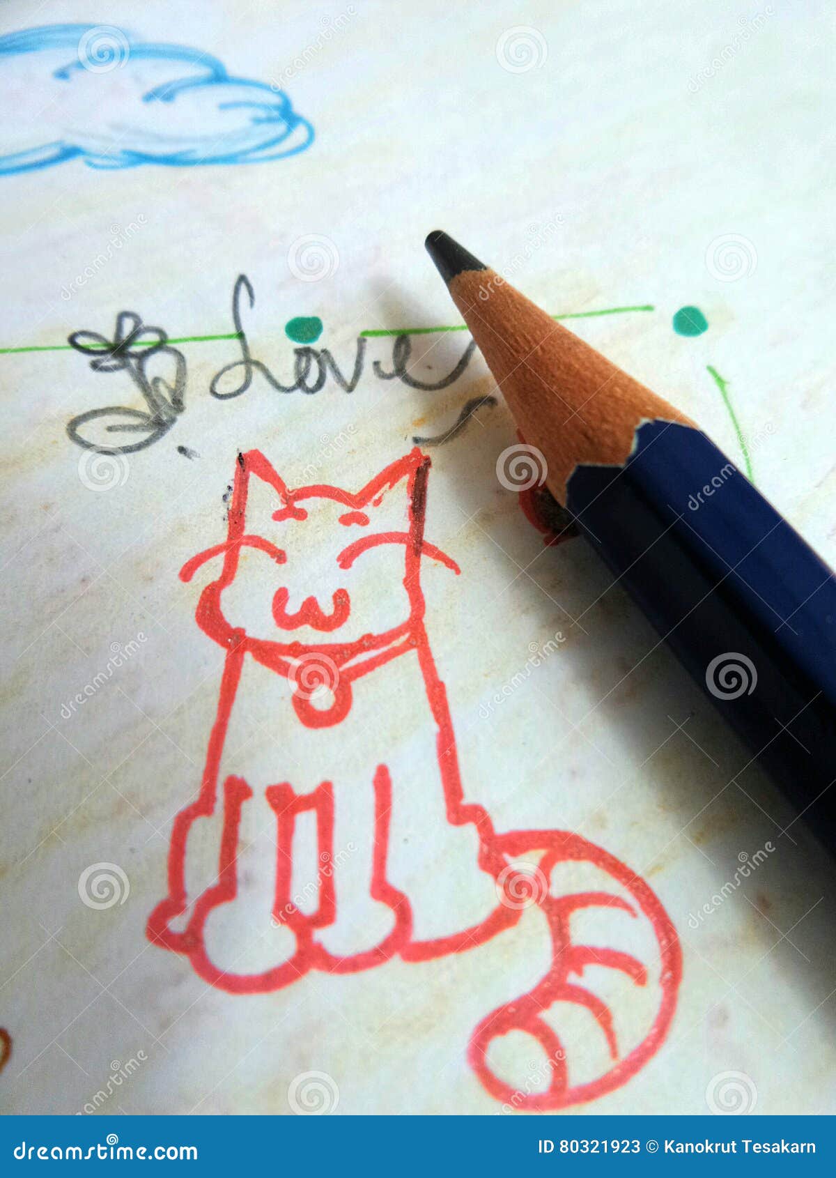 Cat spotted striped head symmetrical sketch vector graphics color wall  mural • murals green eye, front view, snout | myloview.com