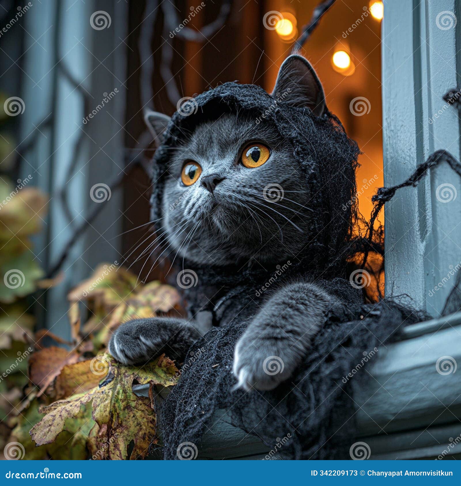 a cat dressed in spooky spider costume peeks out from haunted house window, surrounded by autumn leaves. its bright eyes and