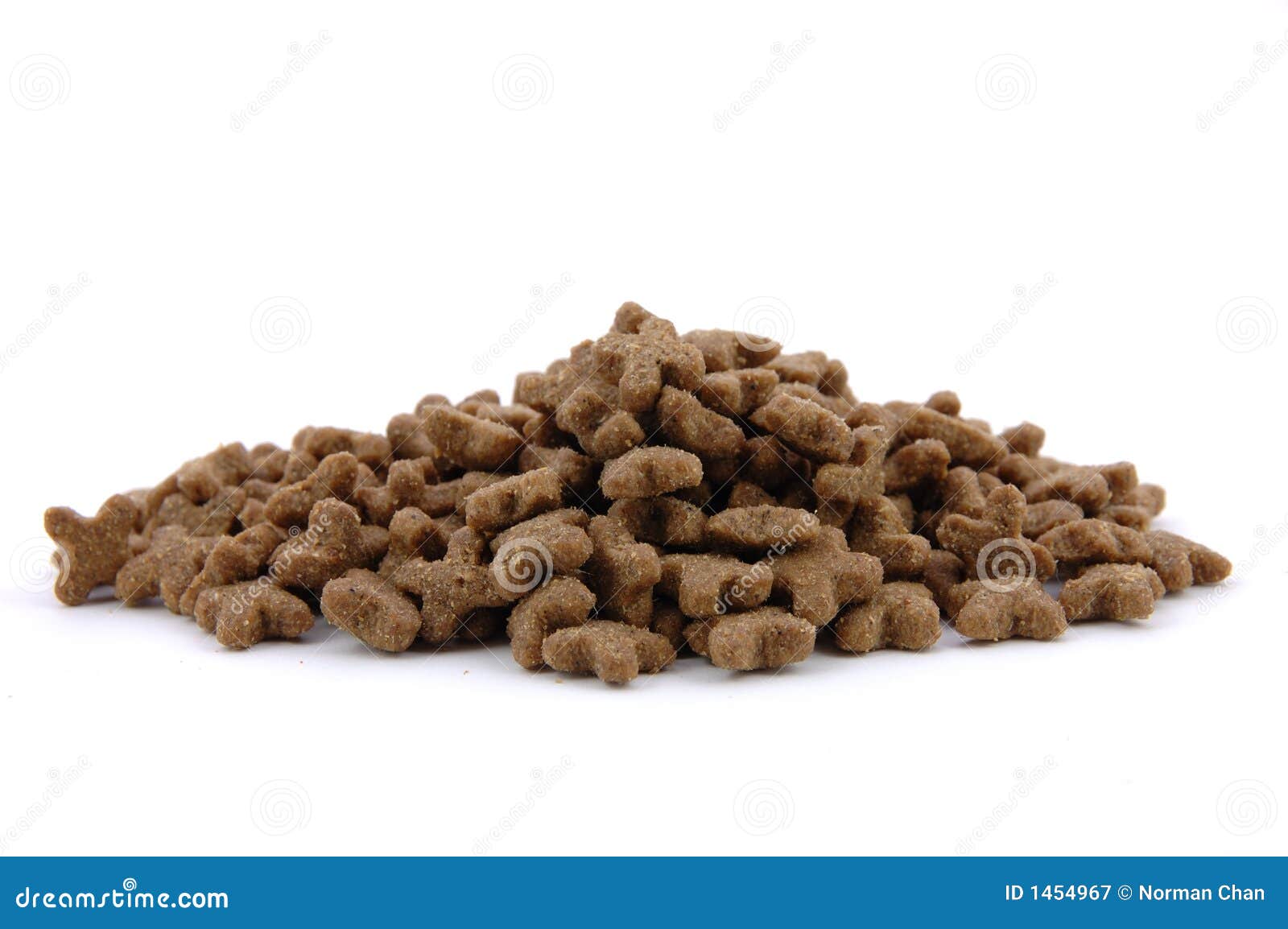 Cat dried food stock image. Image of isolated, food, kitty 1454967
