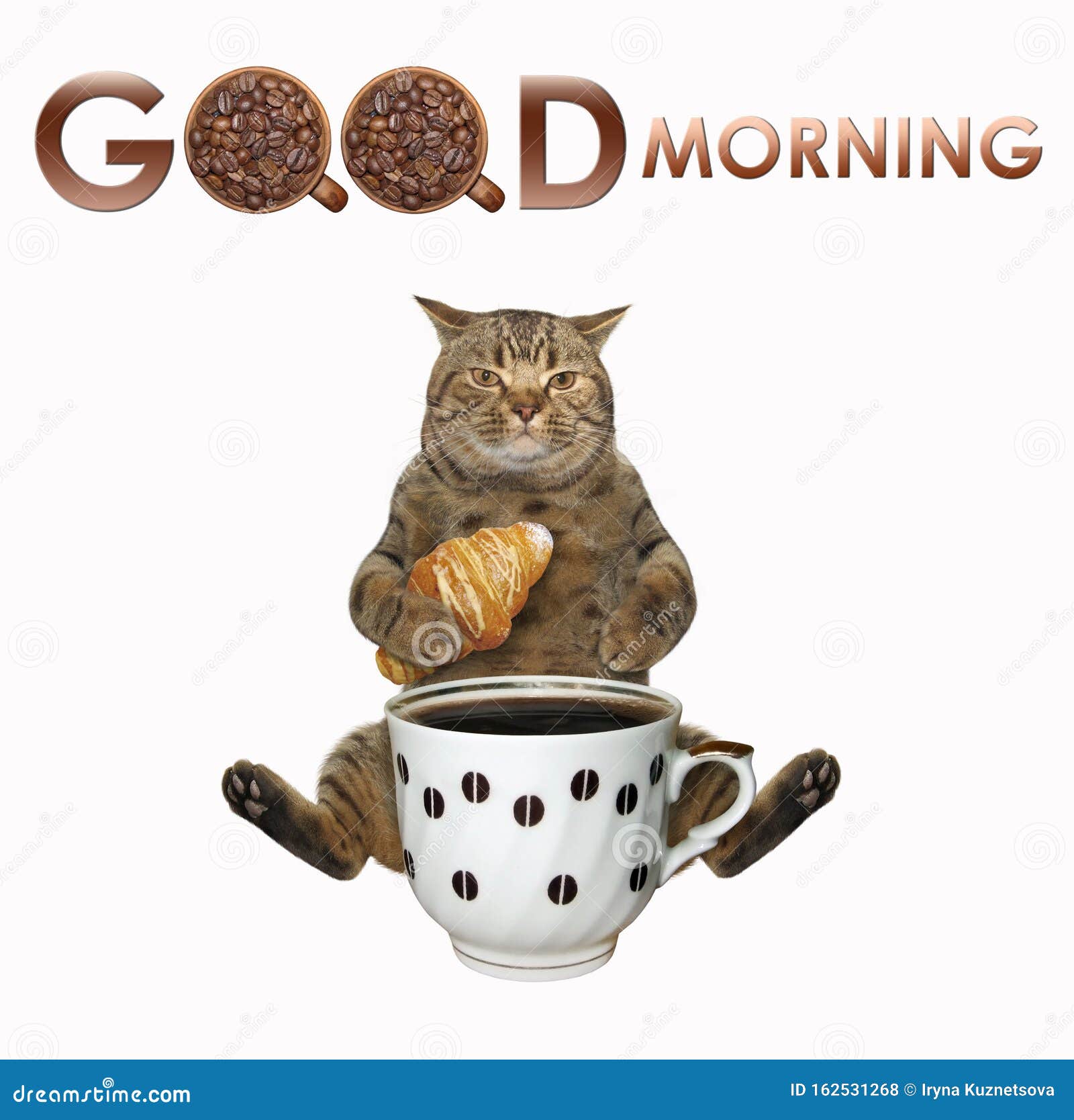 Cat Drinks Coffee with Croissant Stock Photo - Image of creative 