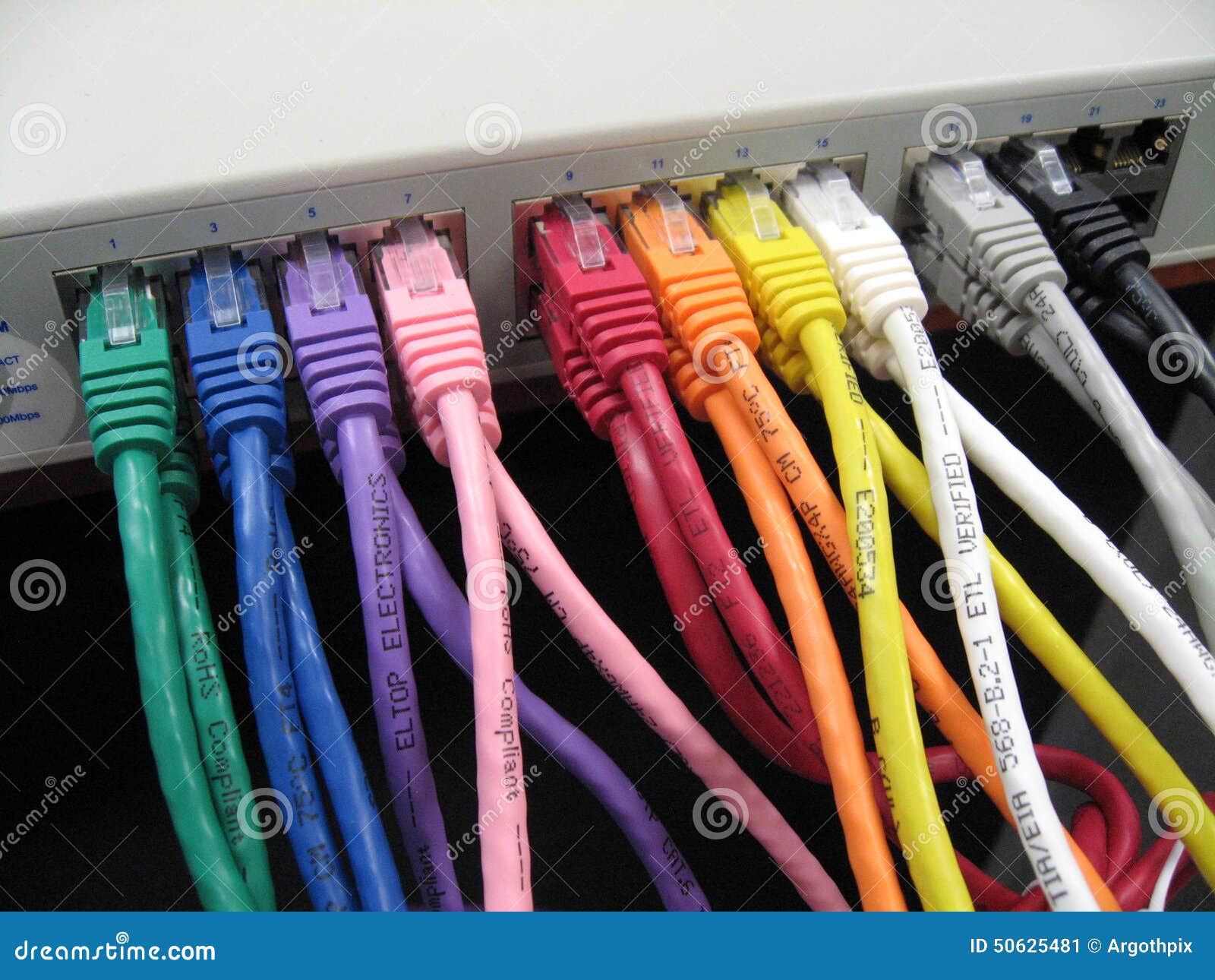 1 170 Cat6 Photos Free Royalty Free Stock Photos From Dreamstime