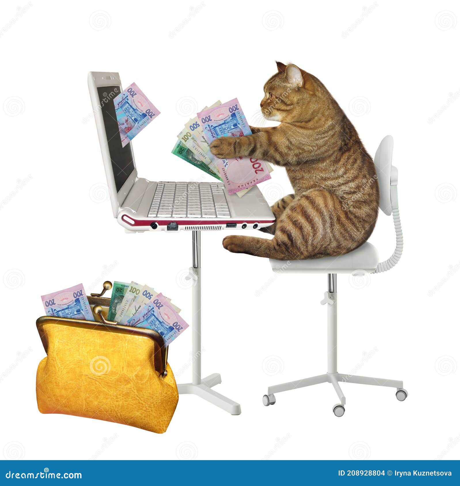 cat earns hryvnia from laptop