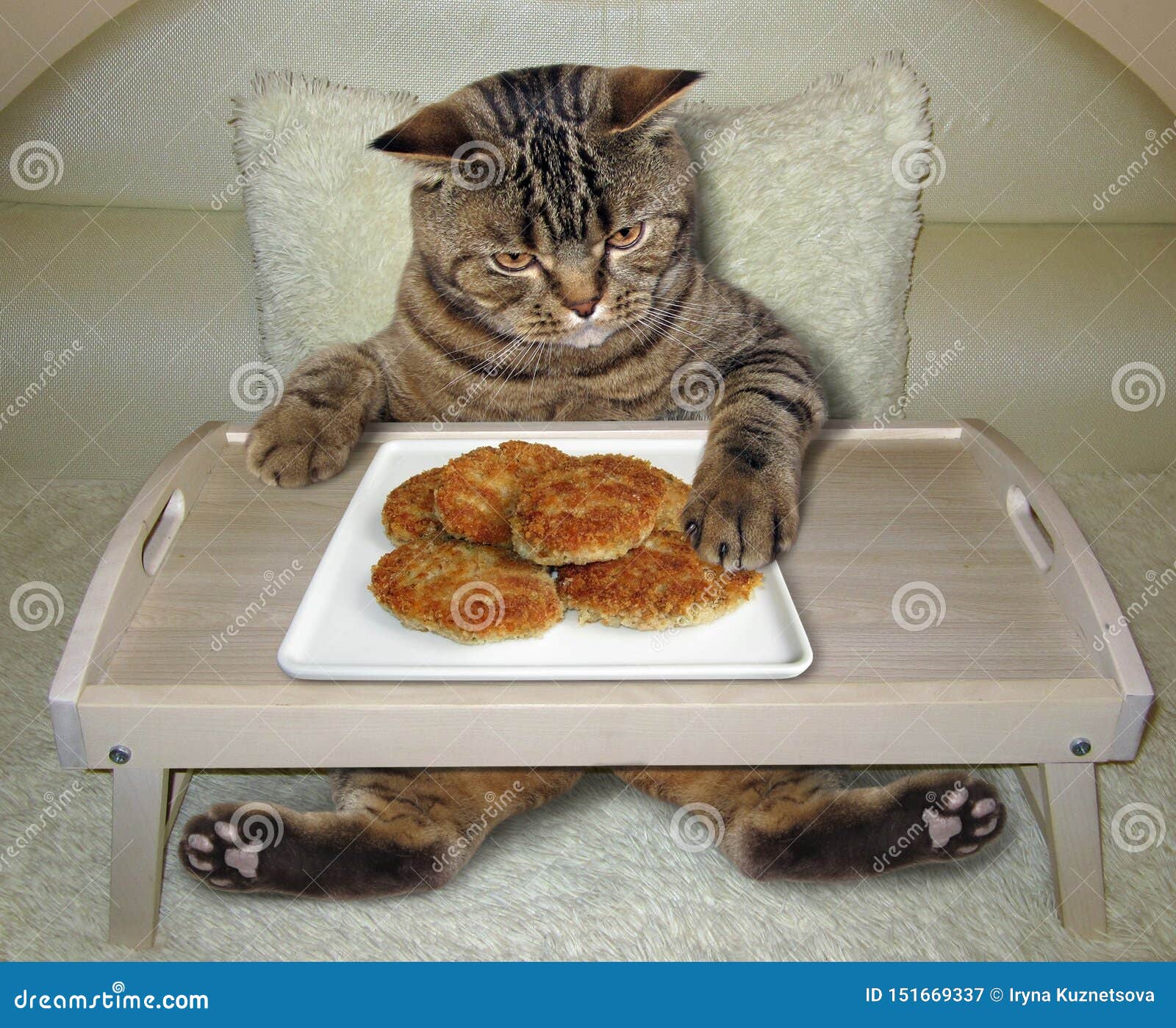 Cat Eats Fried Cutlets from a Bed Tray Stock Image Image of fish