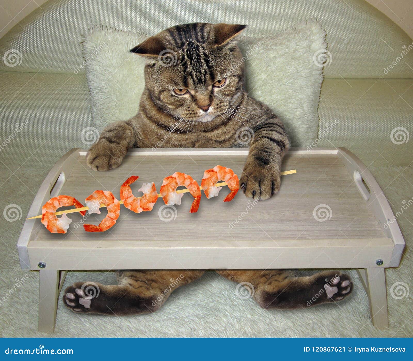 Cat eats shrimp on the bed stock image. Image of bowl 120867621