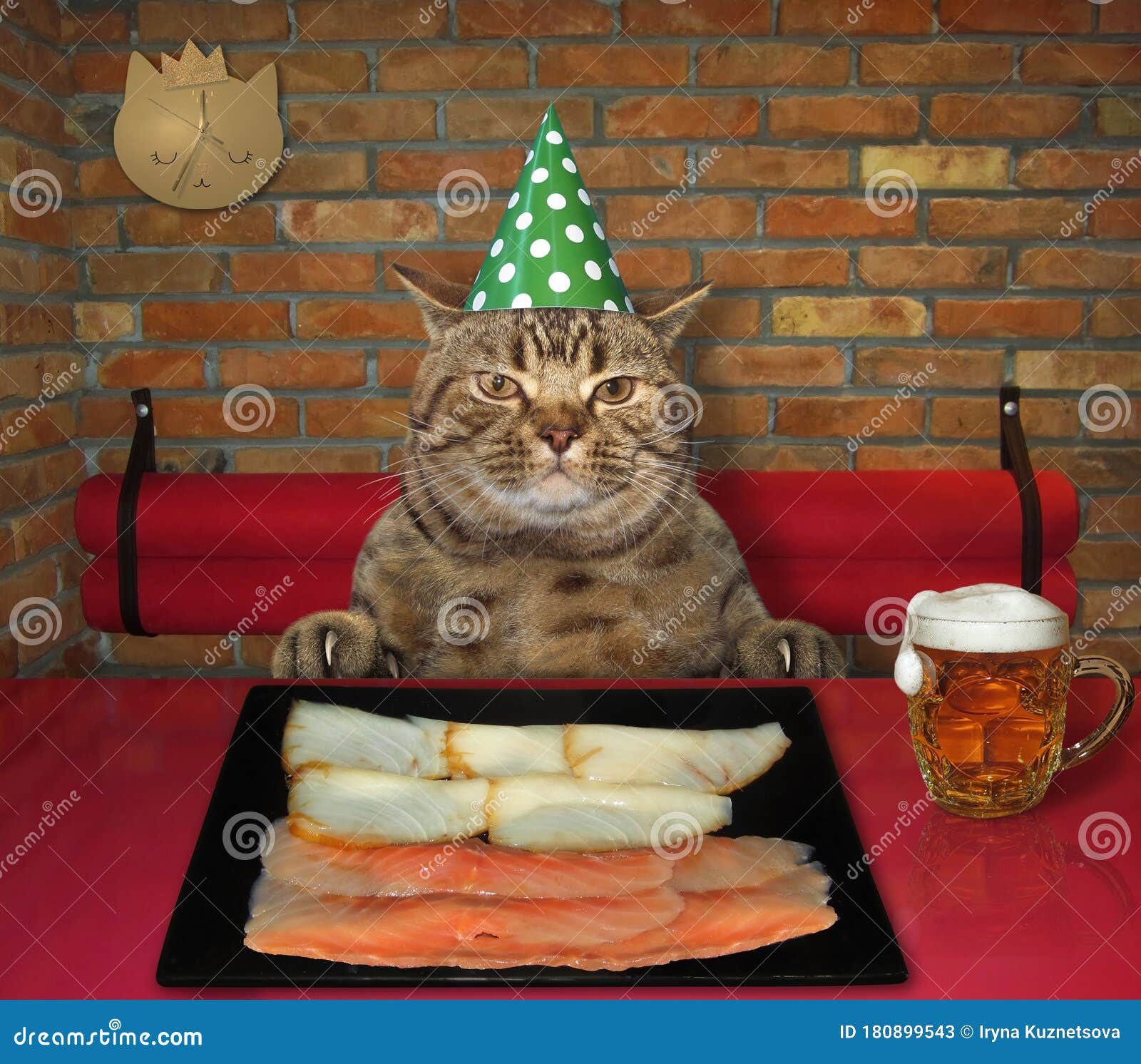 drunk birthday cat