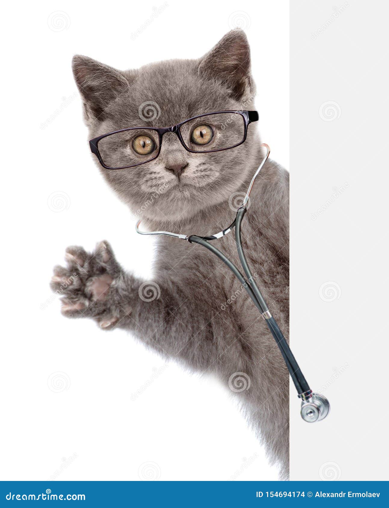 cat with eyeglasses and with a stethoscope on his neck peeks out from behind a banner.  on white background