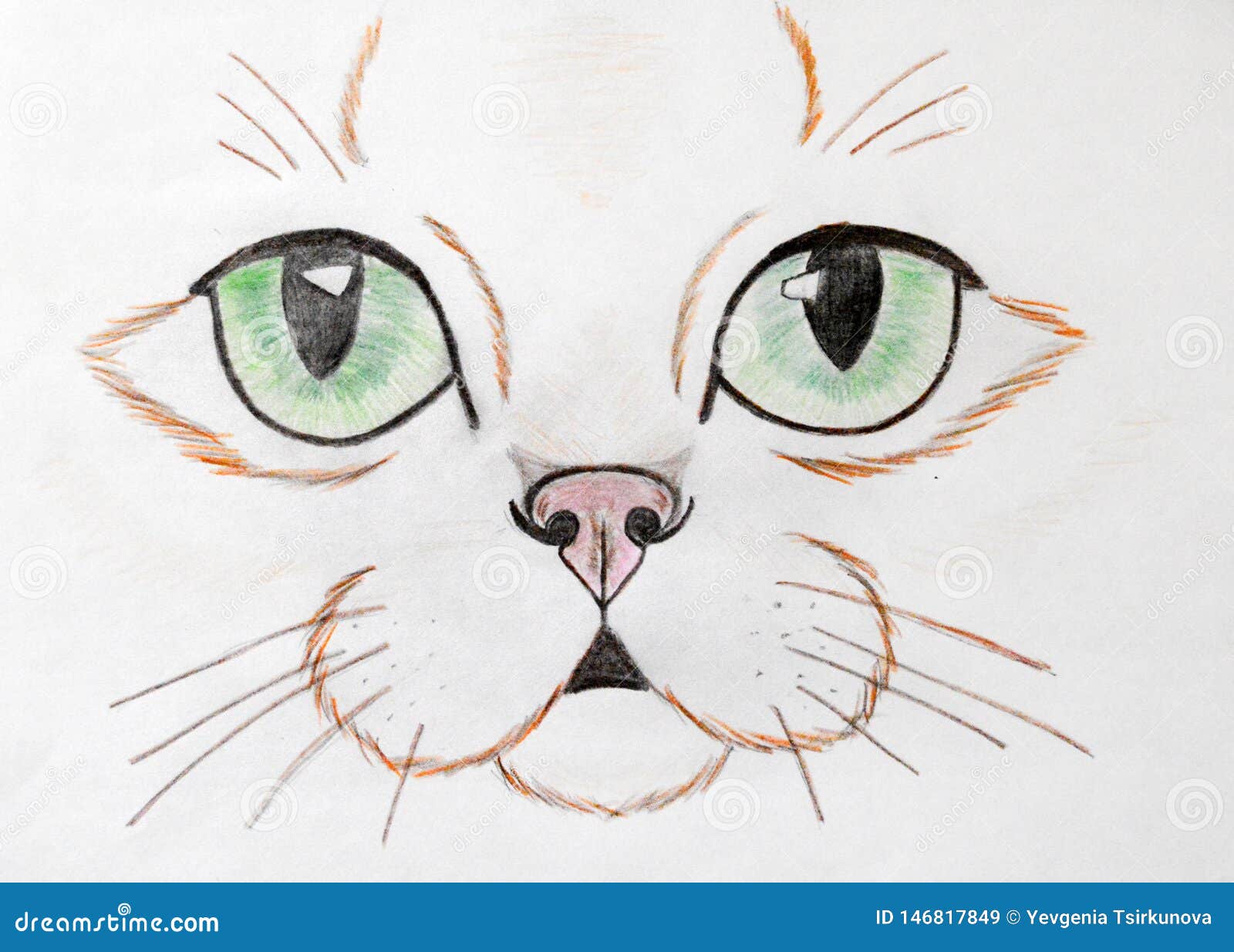 Cat Face Painted With Colored Pencils Stock Illustration