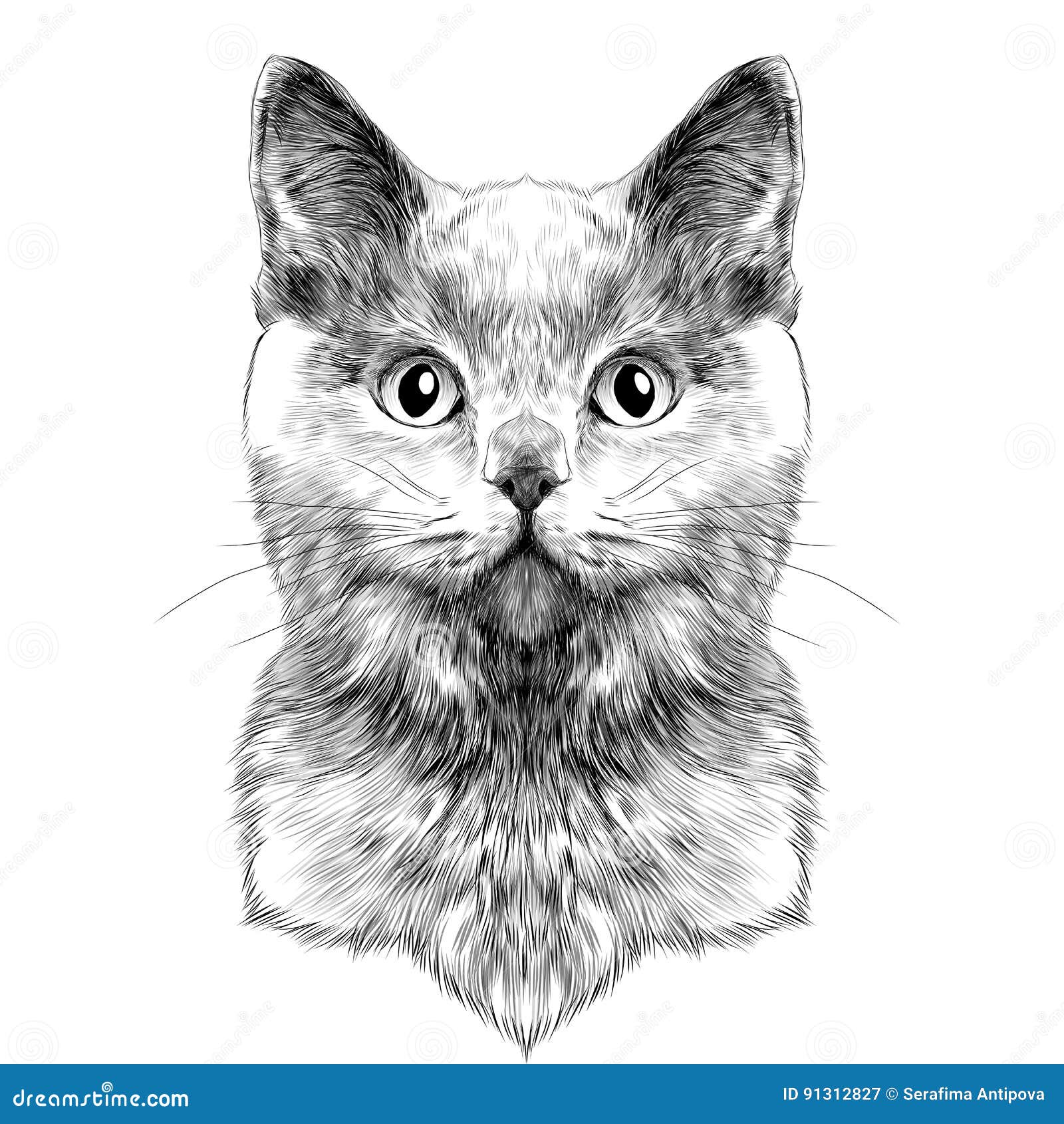 Hand drawn portrait of cute cat sketch art Vector Image