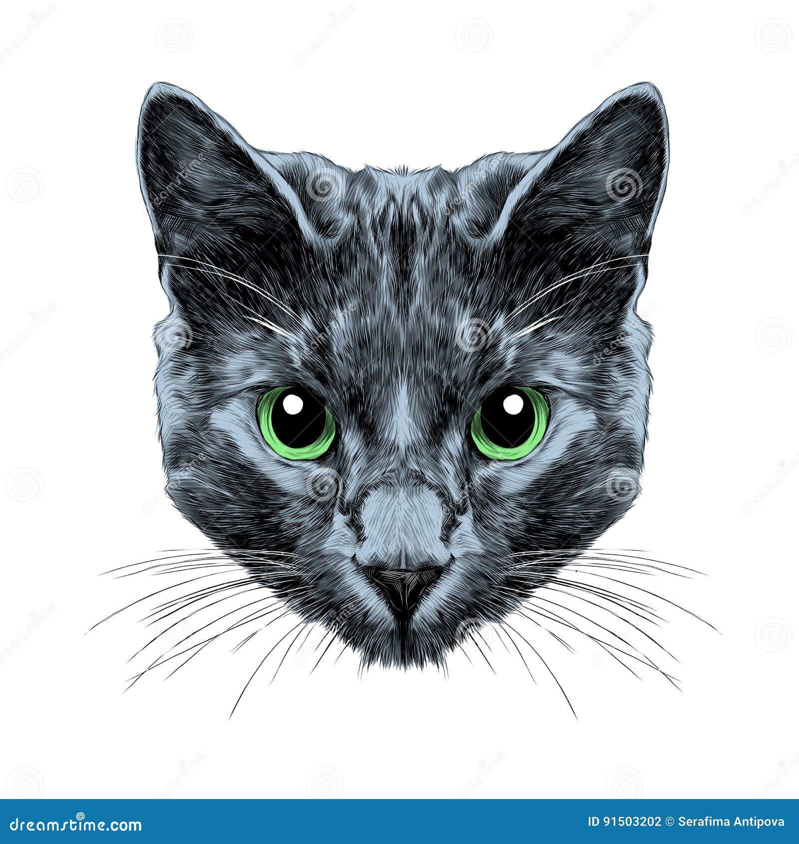sketch of cat sketch of cat