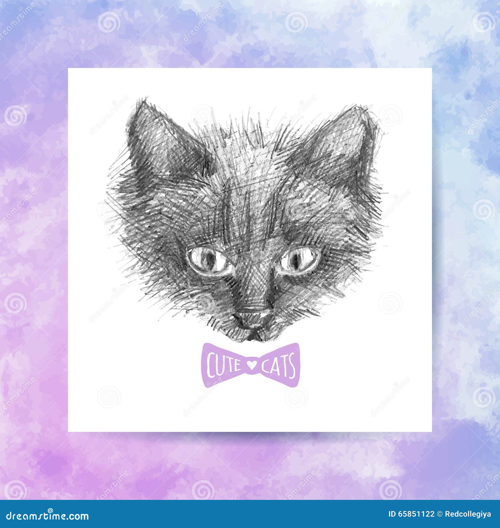Cat Face Sketch Stock Vector Illustration Of Frame Drawing