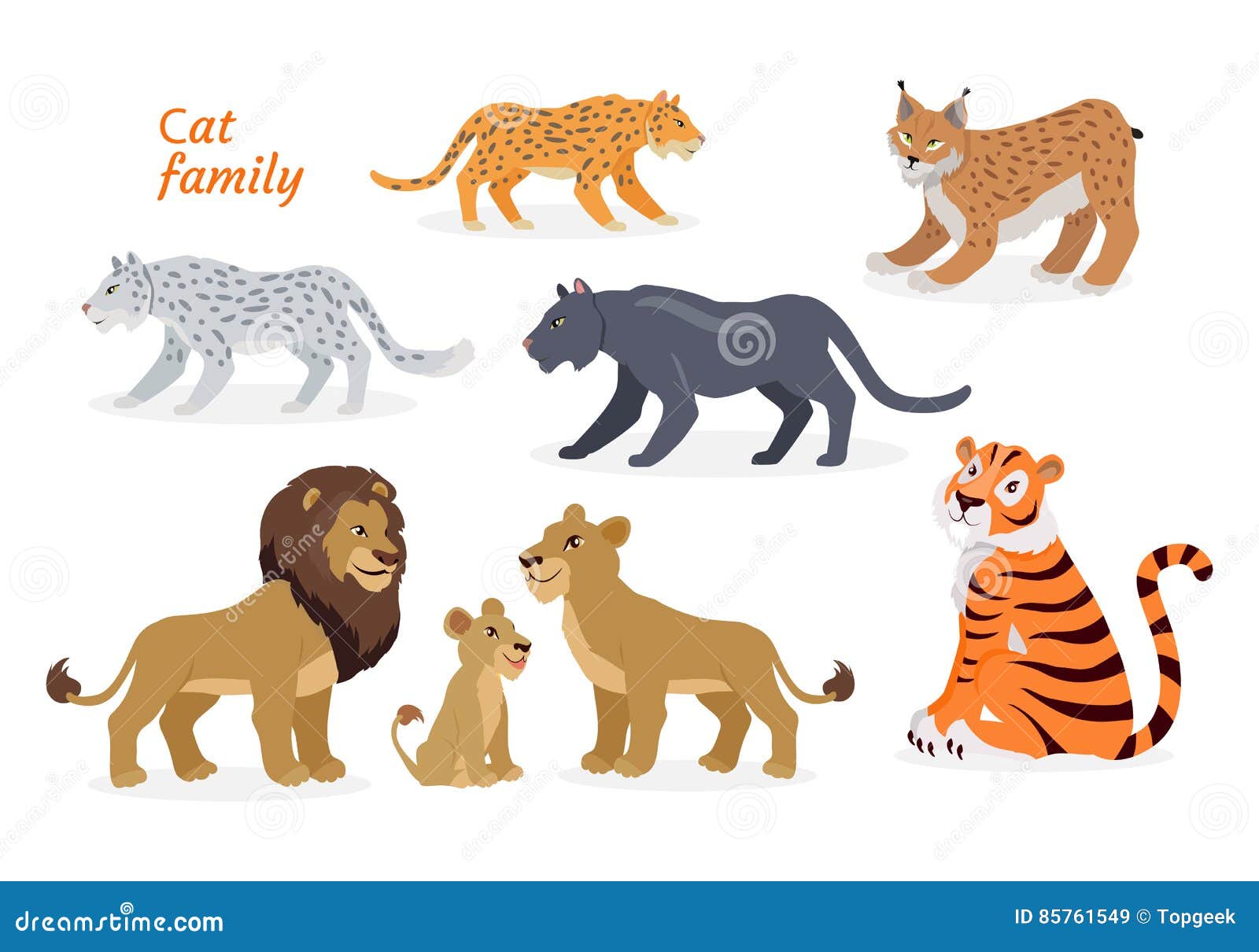 Cat Family. Felidae. Pantherinae Tiger Lion Jaguar Stock Vector - Illustration of gracious, felidae: 85761549 Cat Family. Felidae. Pantherinae Tiger Lion Jaguar Stock Vector - Illustration of gracious, felidae: 85761549