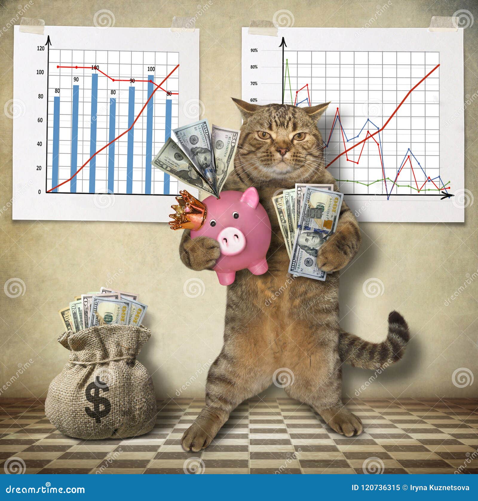 cat-financier-holds-pink-piggy-bank-sack-american-dollars-next-to-him-cat-economist-piggy-bank-120736315.jpg?ct=jpeg