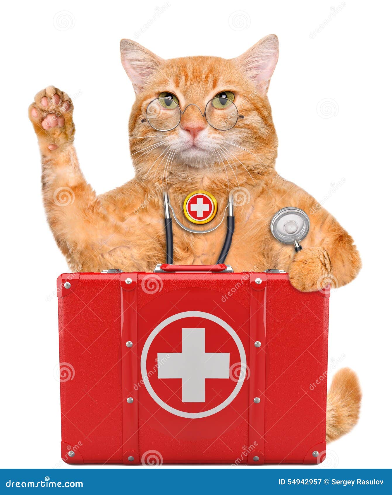 Cat with a first aid kit. stock image. Image of assistance 54942957