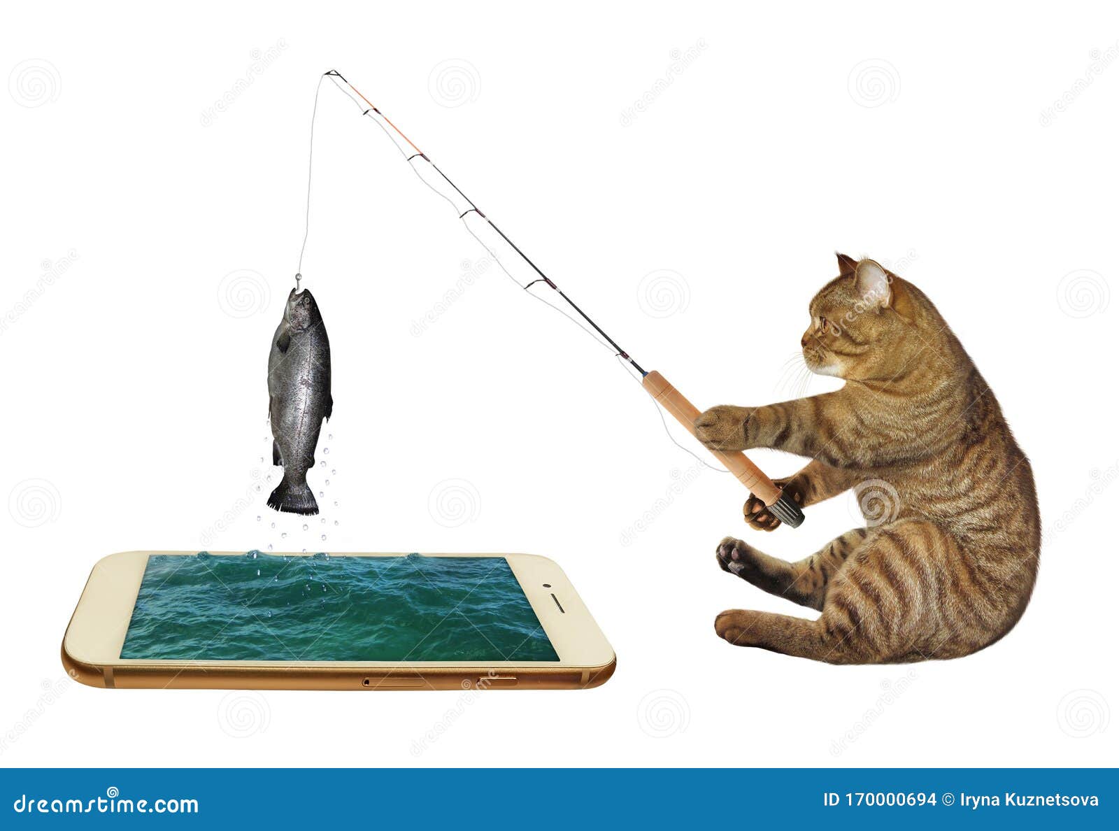 Cat fishing in phone stock photo. Image of catch, screen - 170000694