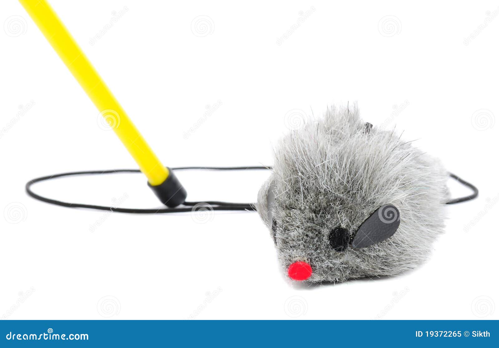 Cat Fishing Toy - Mouse on Rope with Pole Stock Image - Image of