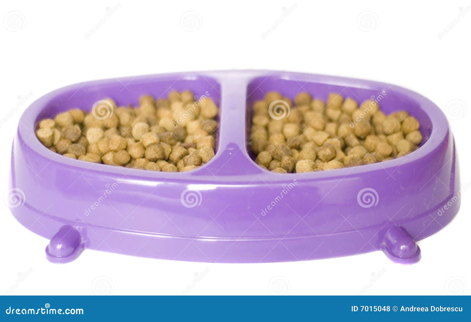 Cat food stock photo. Image of meal, domestic, isolated 7015048