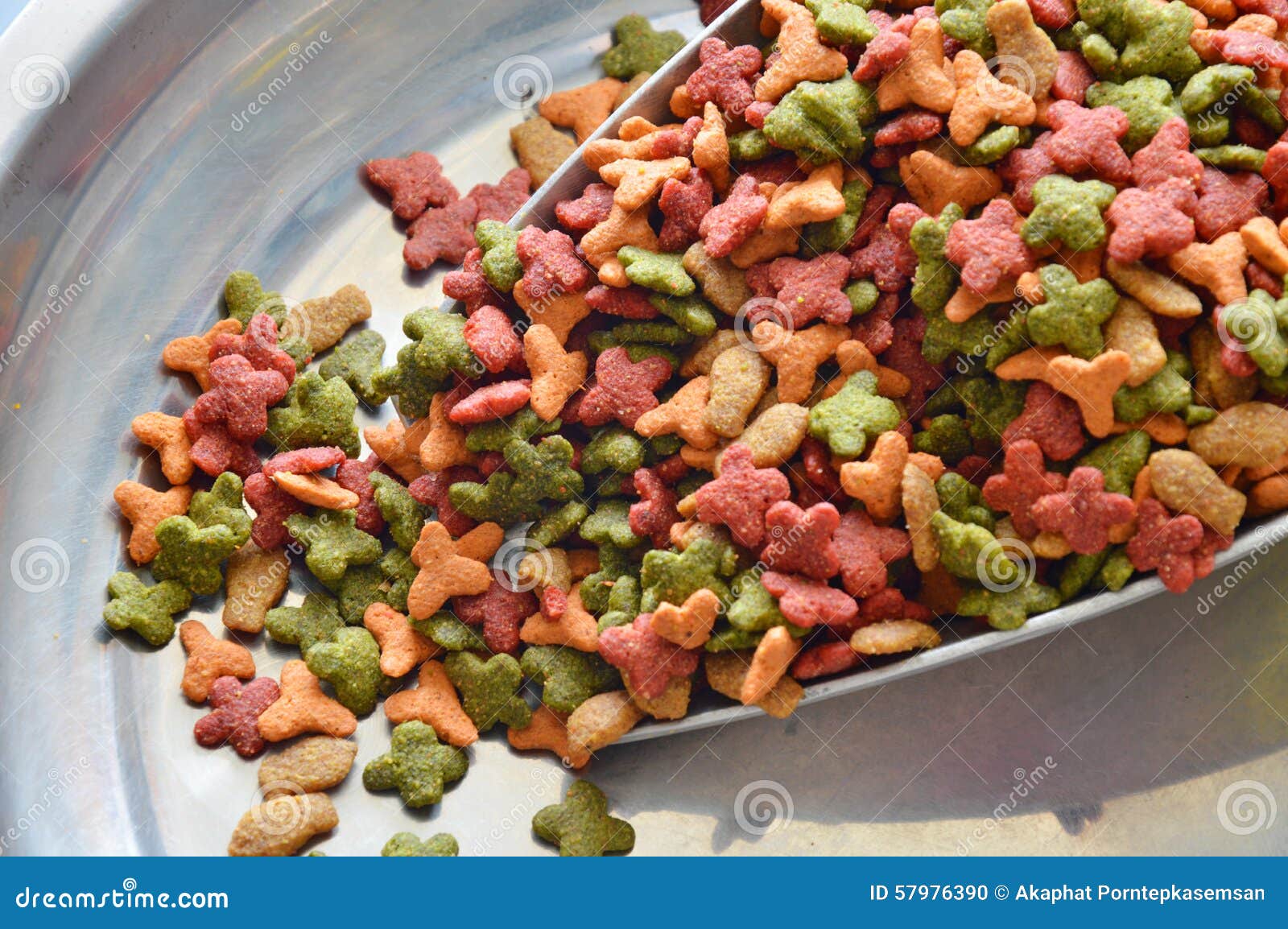 Cat food on iron scoop stock photo. Image of sack, packaging 57976390