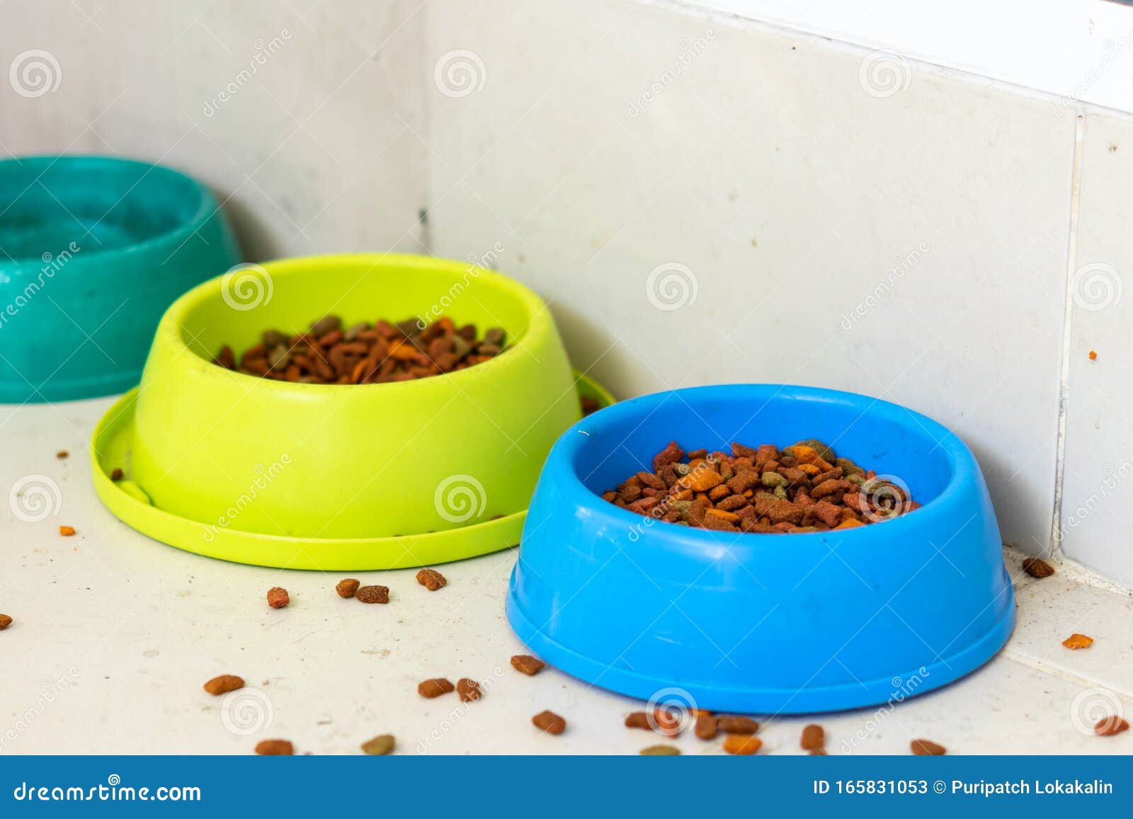 Cat Food in Two Bowls Set for Stray Cats Stock Image Image of hair