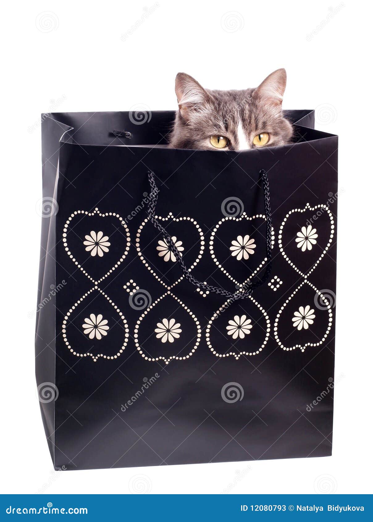 legislation pick up Nerve Cat in gift bag stock image. Image of gray, package, present - 12080793