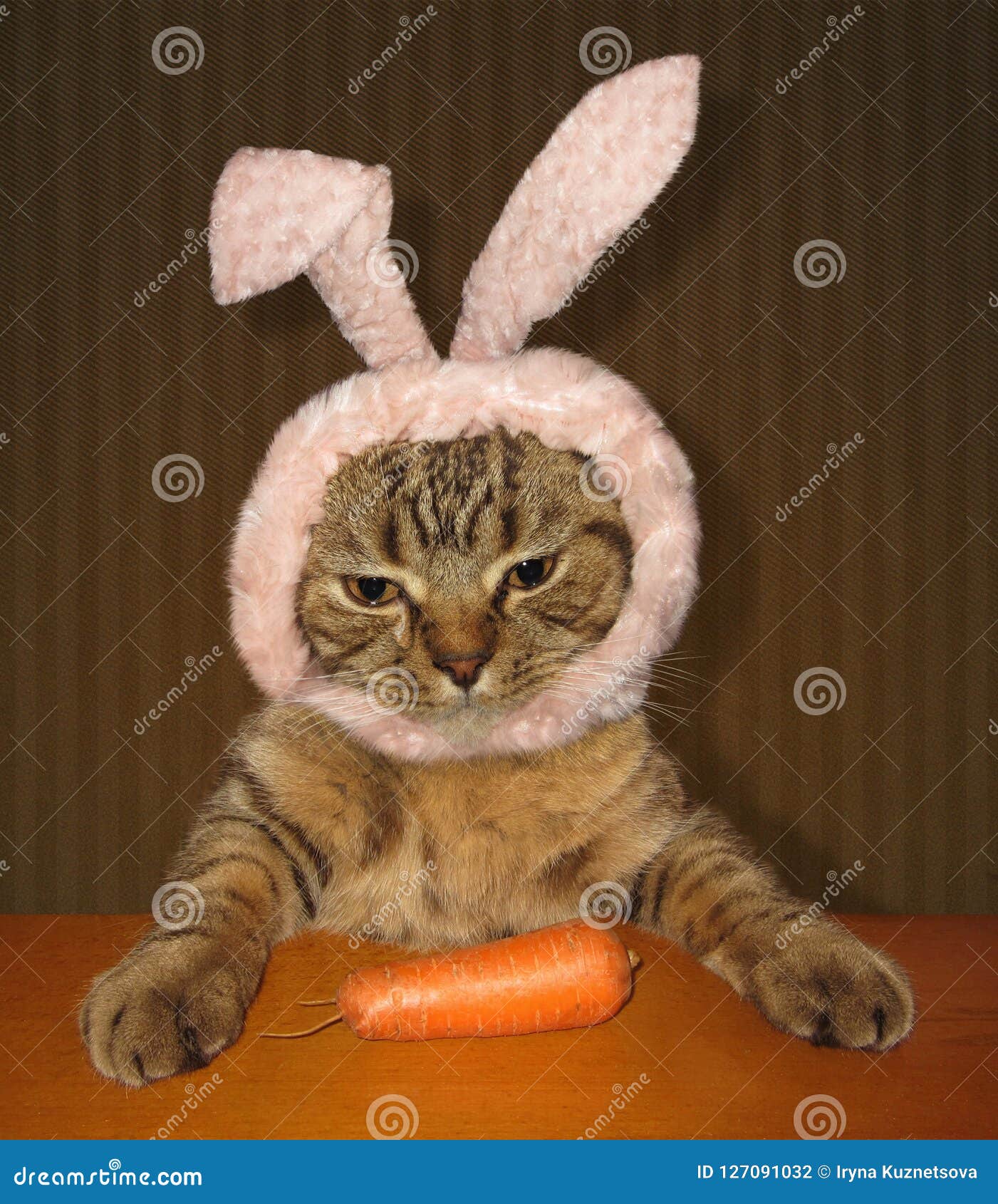 carrots for cats