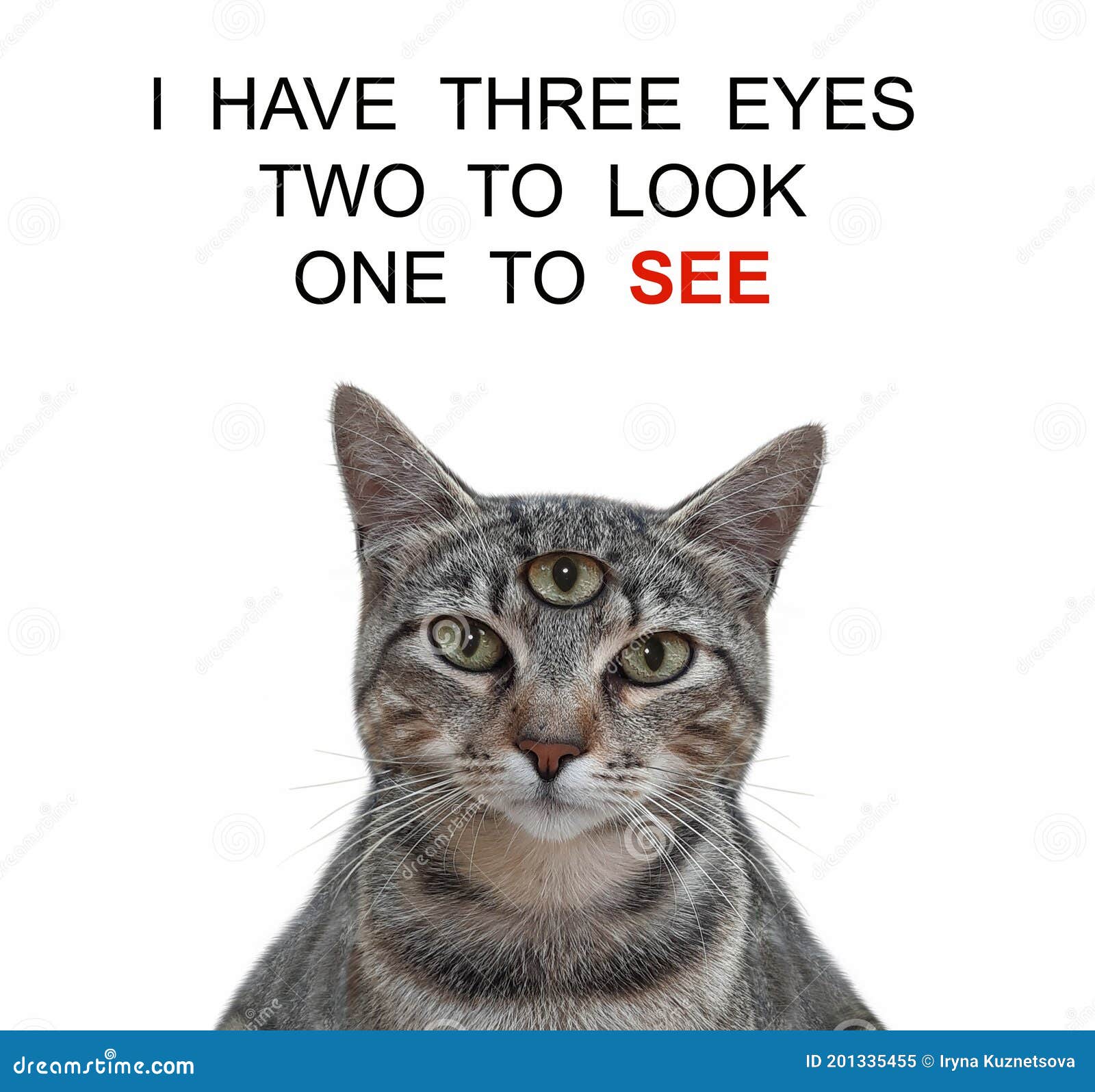 My Image 6