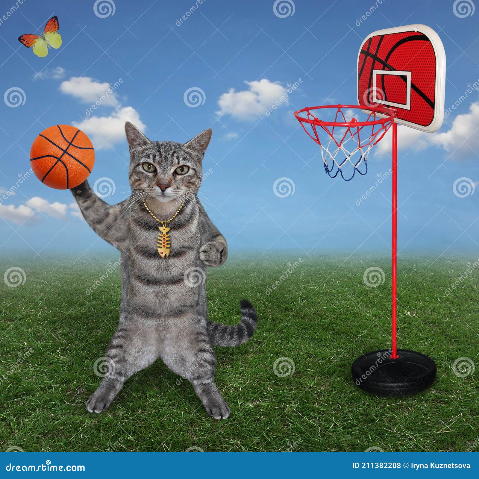 Gato feliz jogando basquete