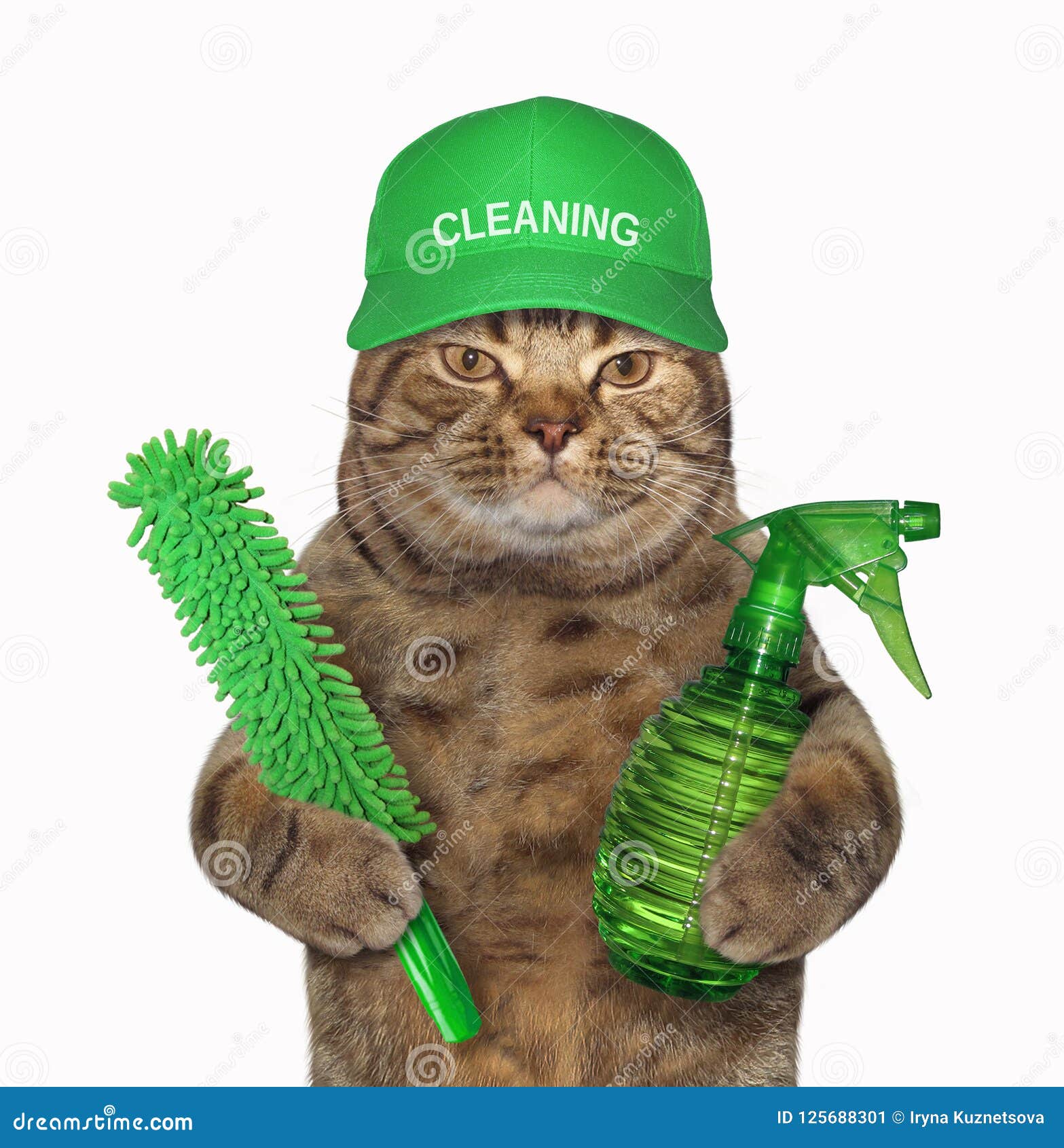 Cat With A Green Spray Bottle Stock Image Image of laborer, labor