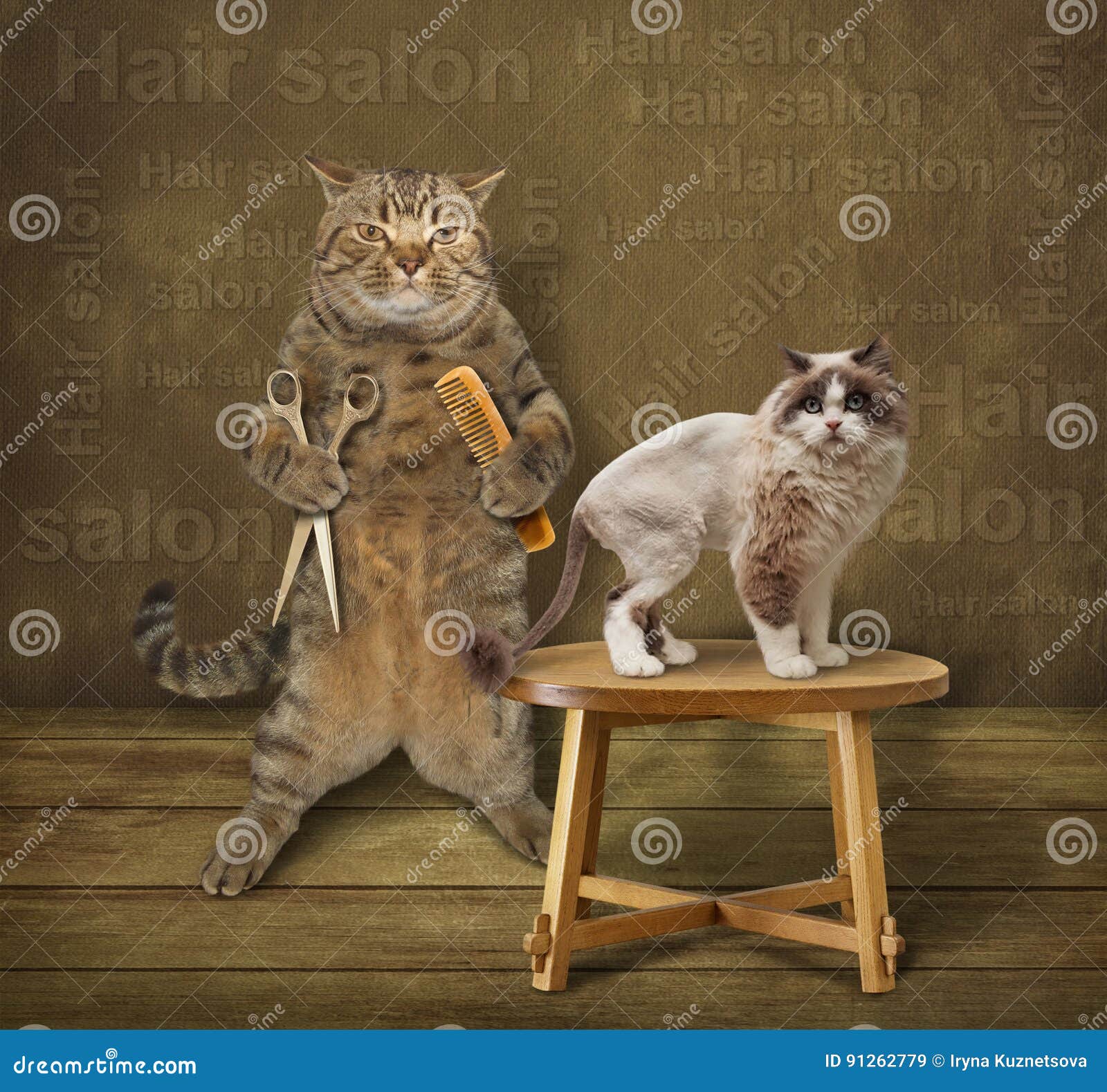 [Image: cat-hairdresser-his-client-holding-comb-...262779.jpg]