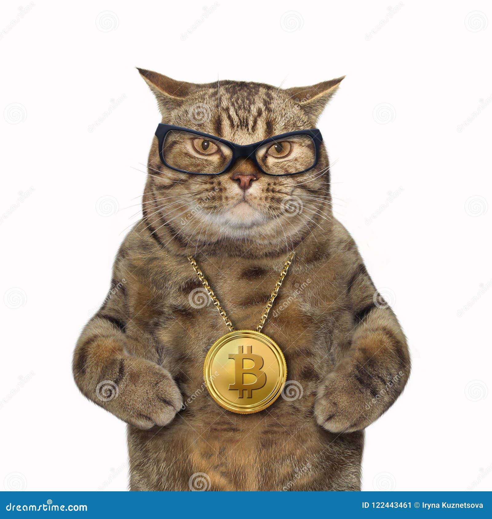 cats coin crypto